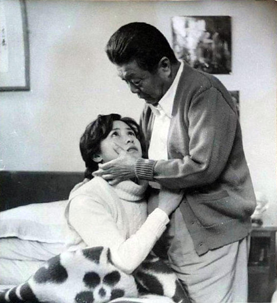 白鸽剧照的剧照