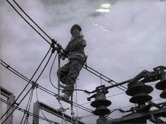 白鸽剧照的剧照