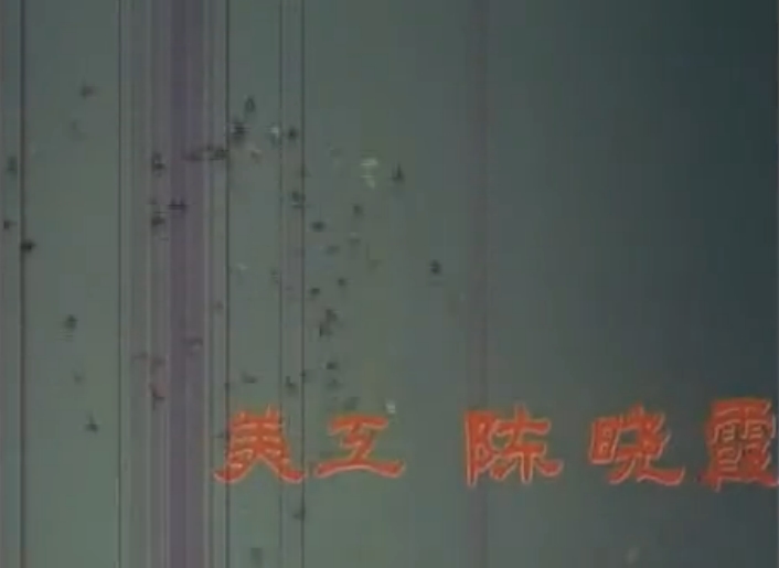 白鸽剧照的剧照