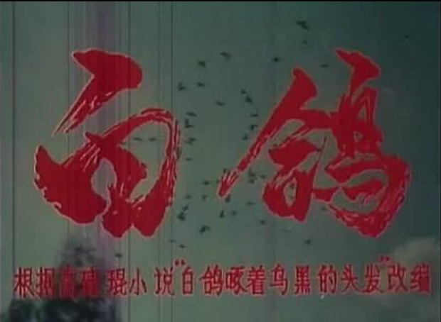 白鸽剧照的剧照