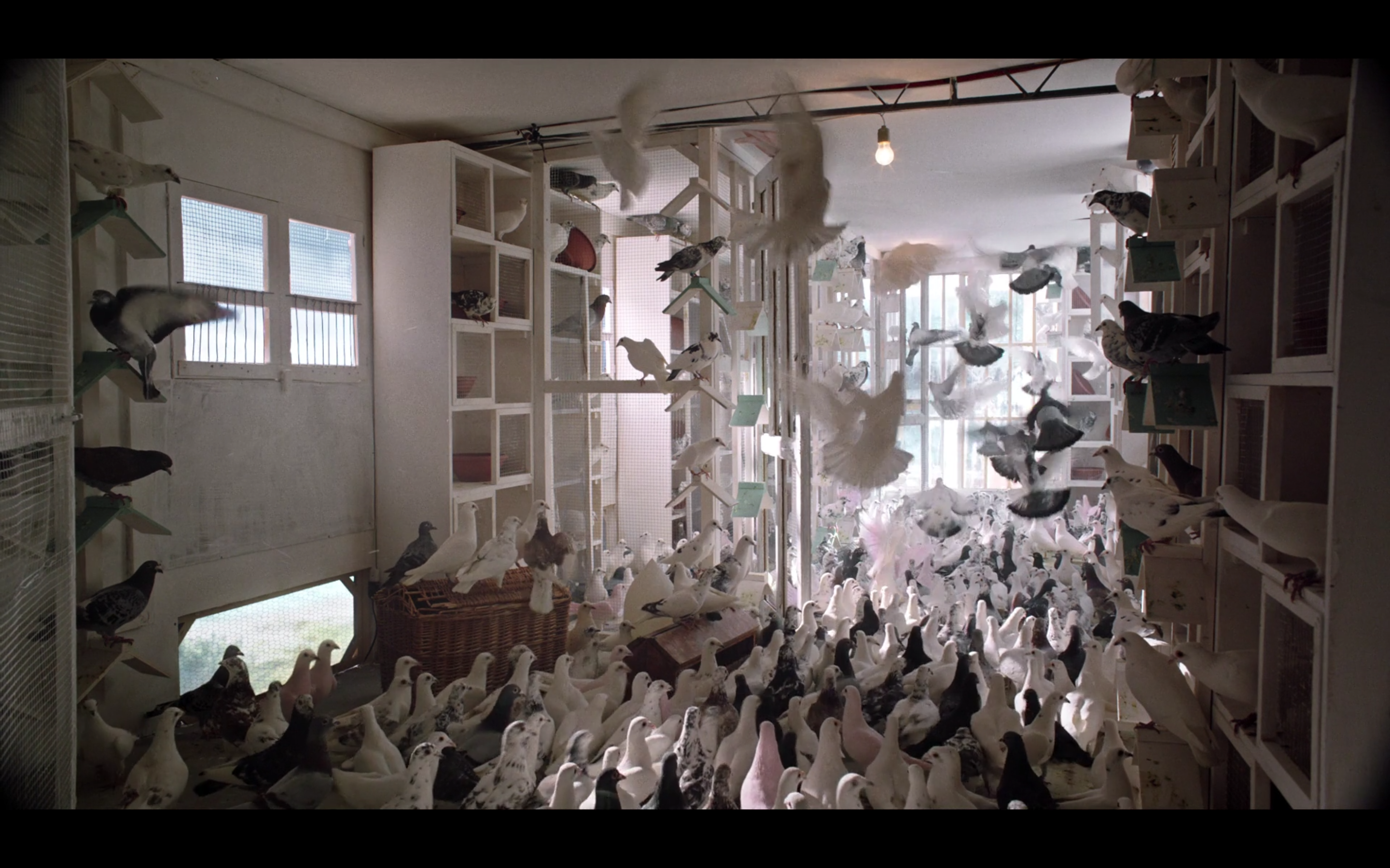 马卡卢索往事剧照的剧照