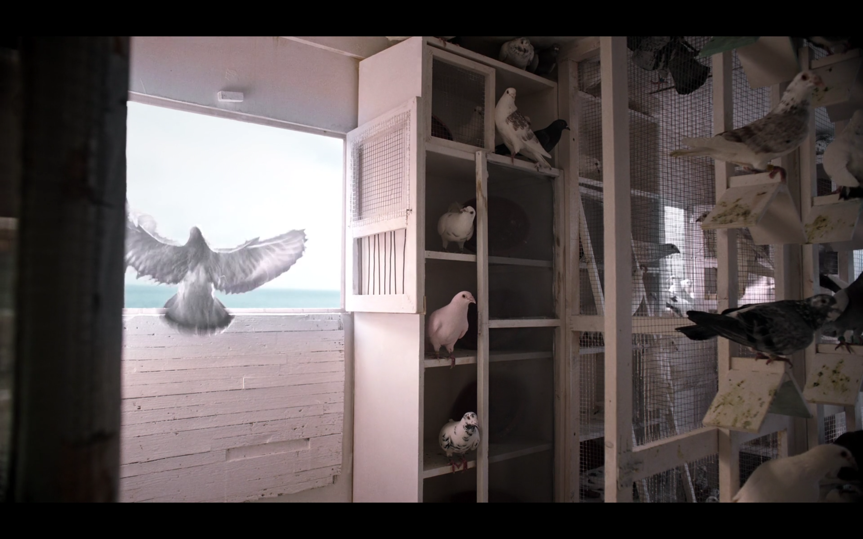 马卡卢索往事剧照的剧照