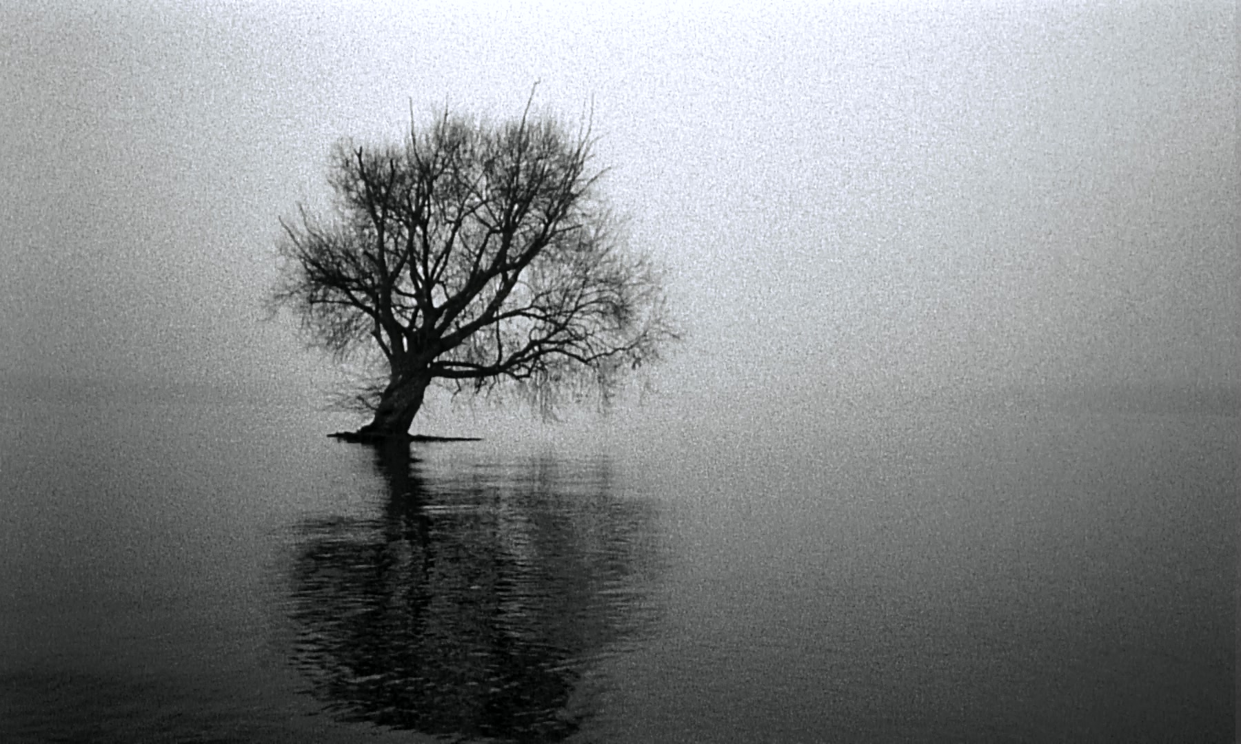 柏林苍穹下剧照的剧照