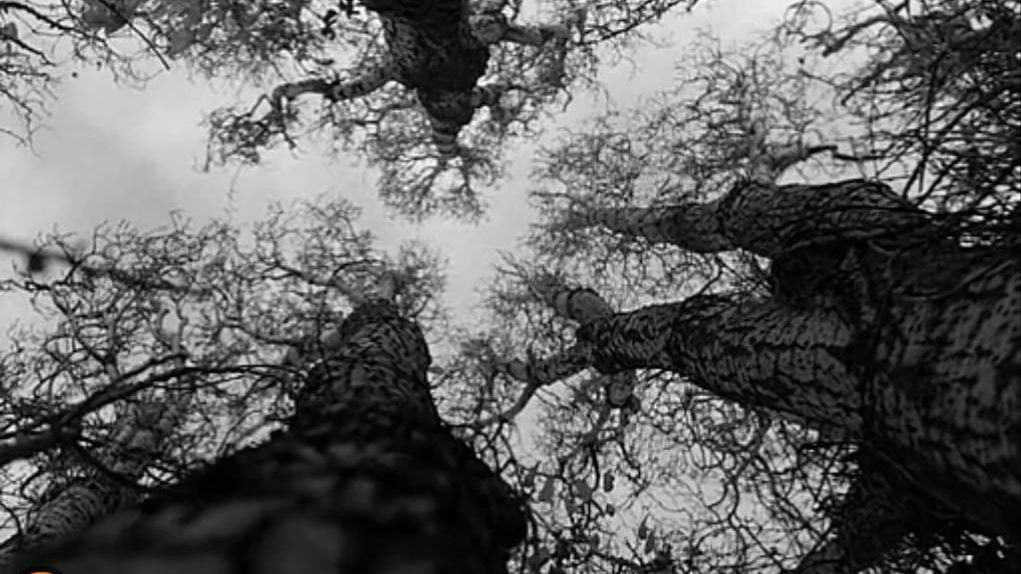 柏林苍穹下剧照的剧照