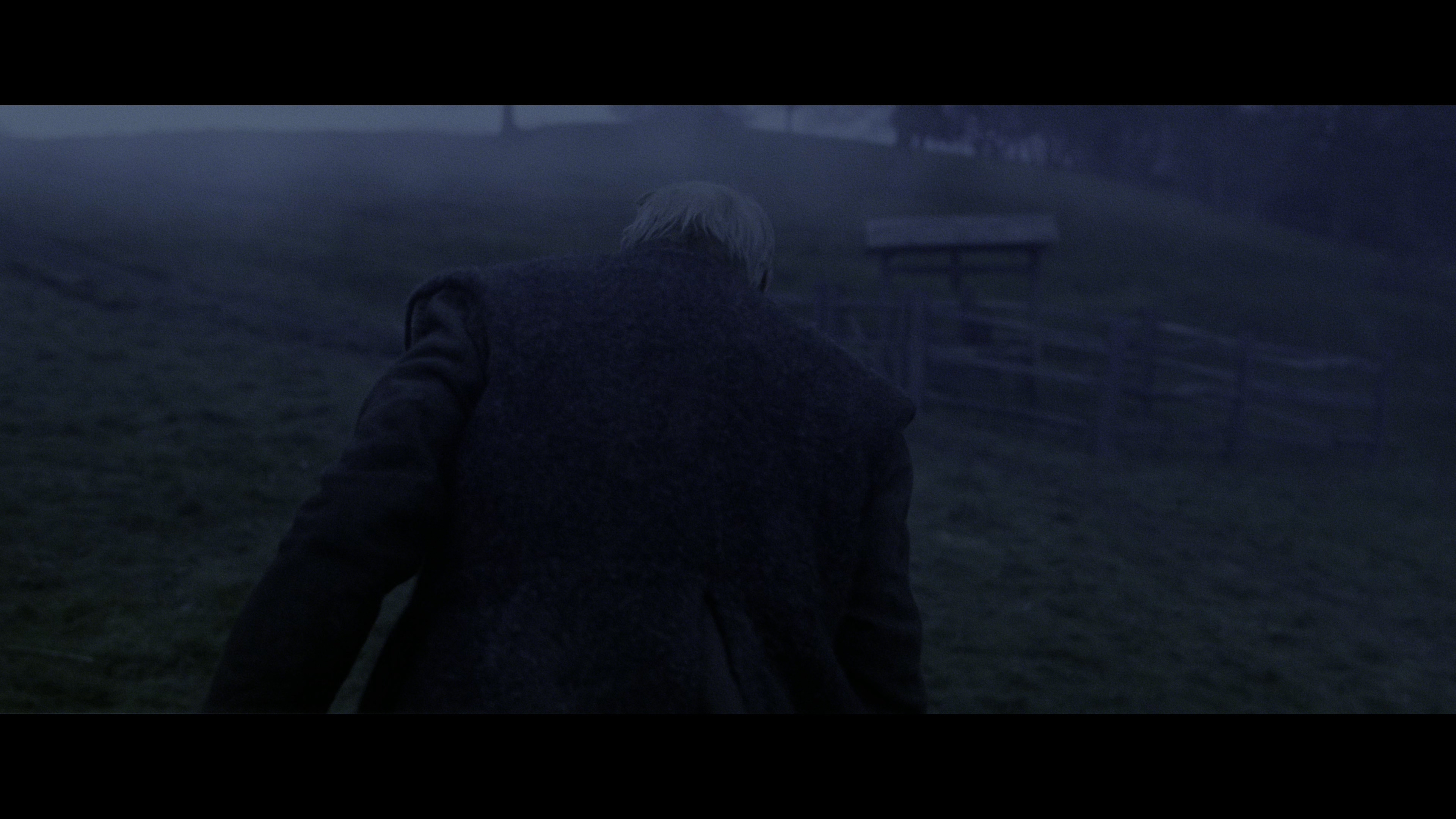 范妮·莱的解救剧照的剧照