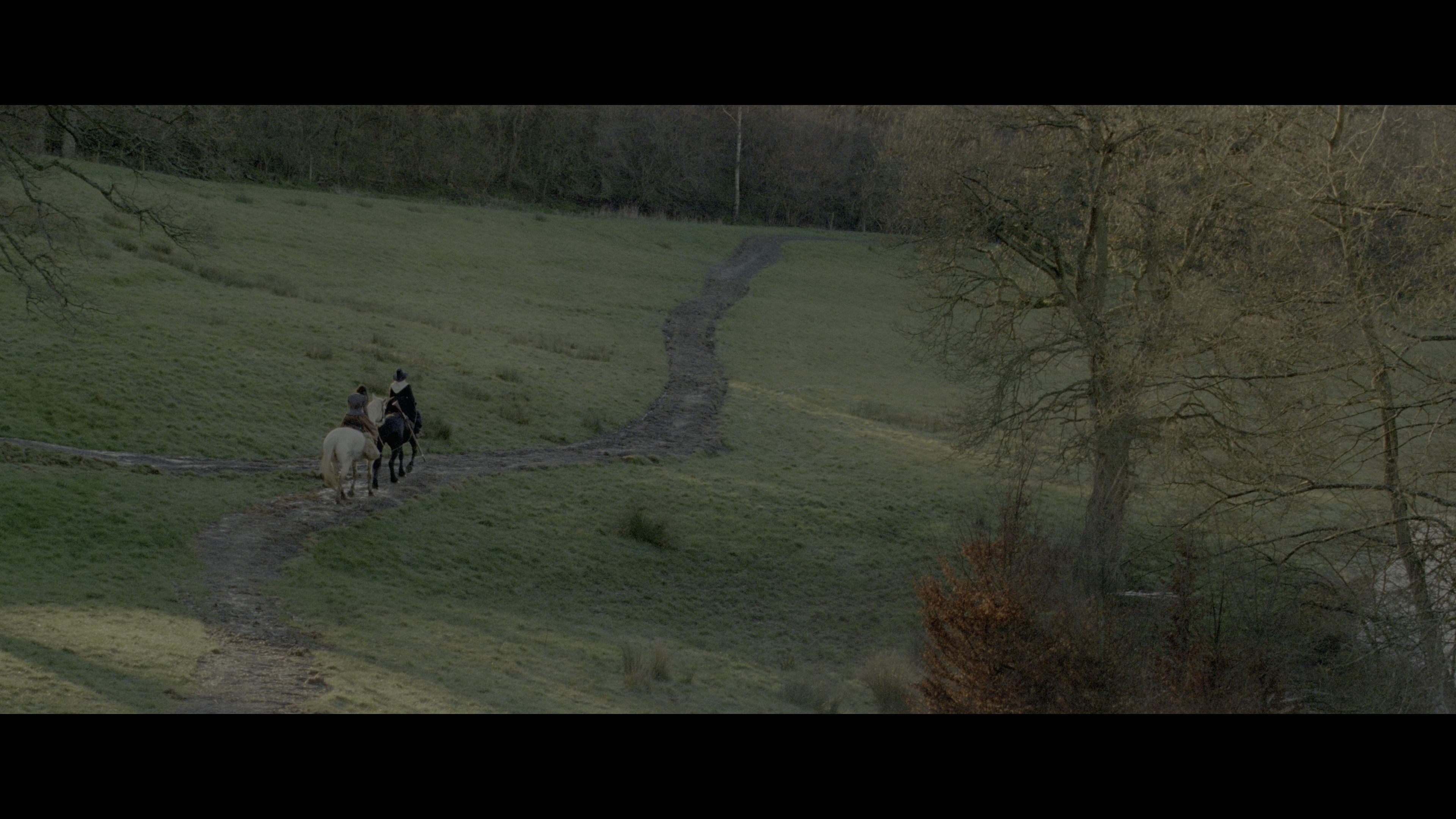 范妮·莱的解救剧照的剧照