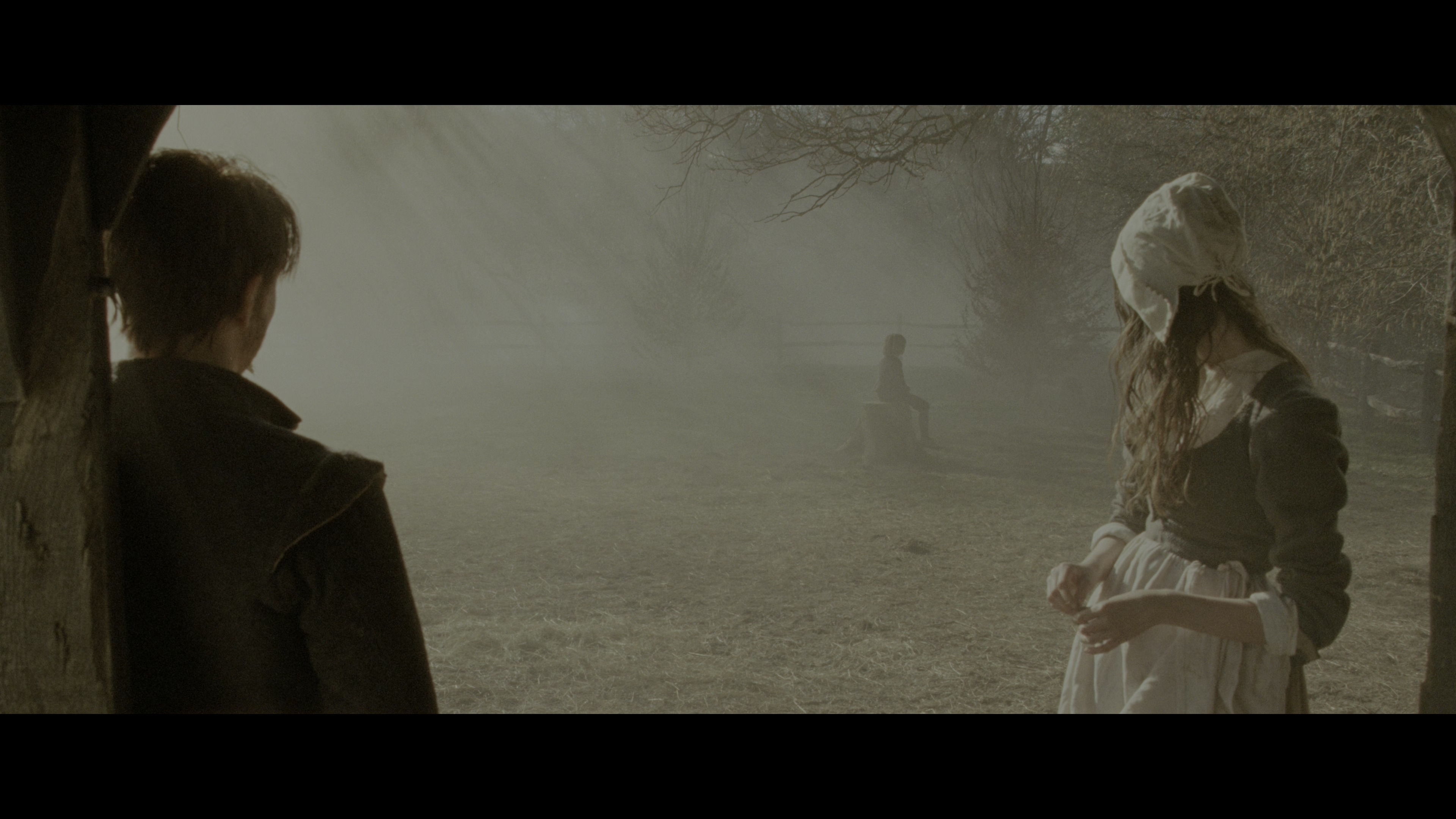 范妮·莱的解救剧照的剧照