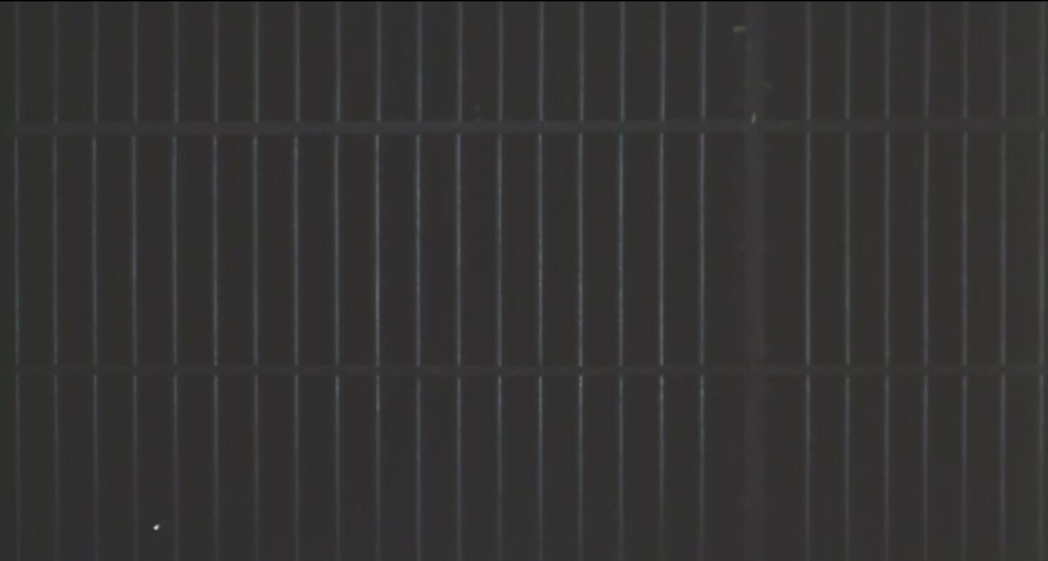 马拉/萨德剧照的剧照