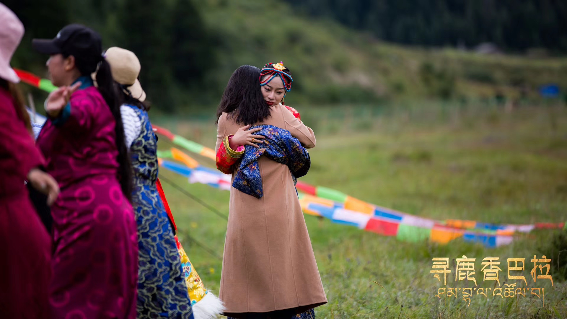 寻鹿香巴拉剧照的剧照