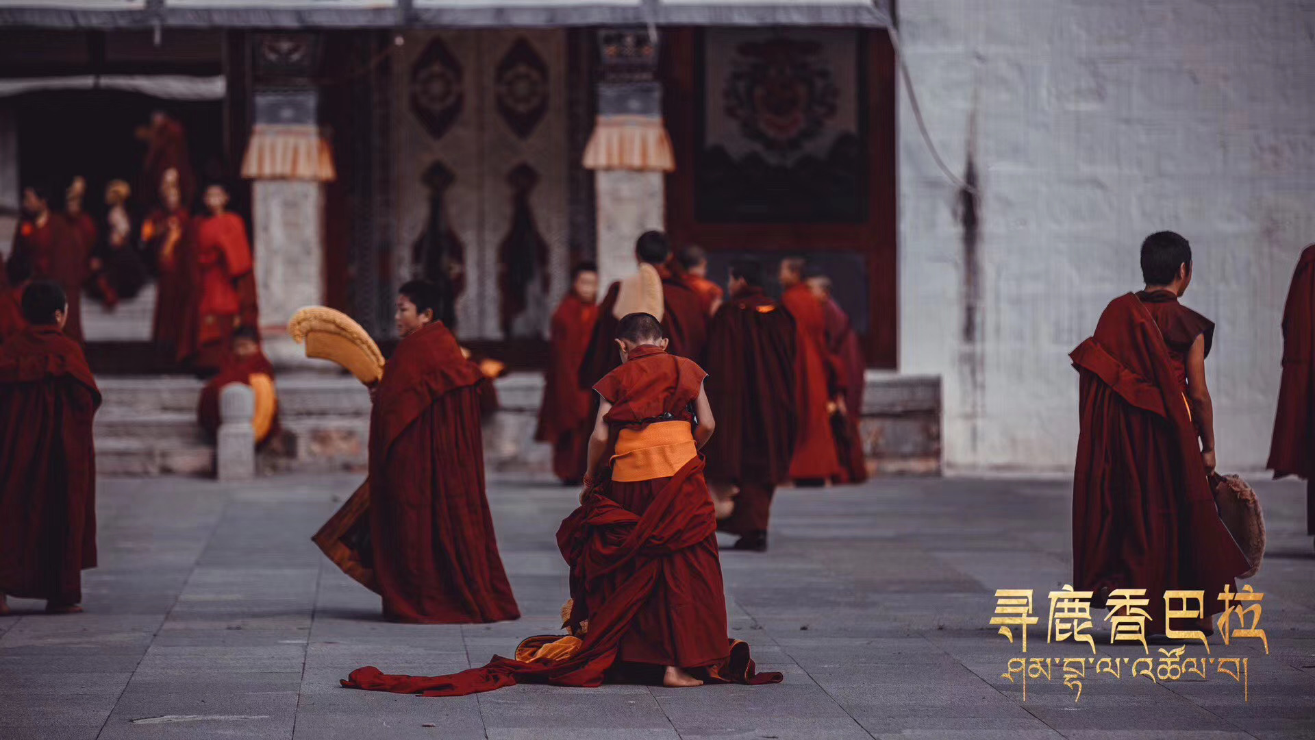 寻鹿香巴拉剧照的剧照