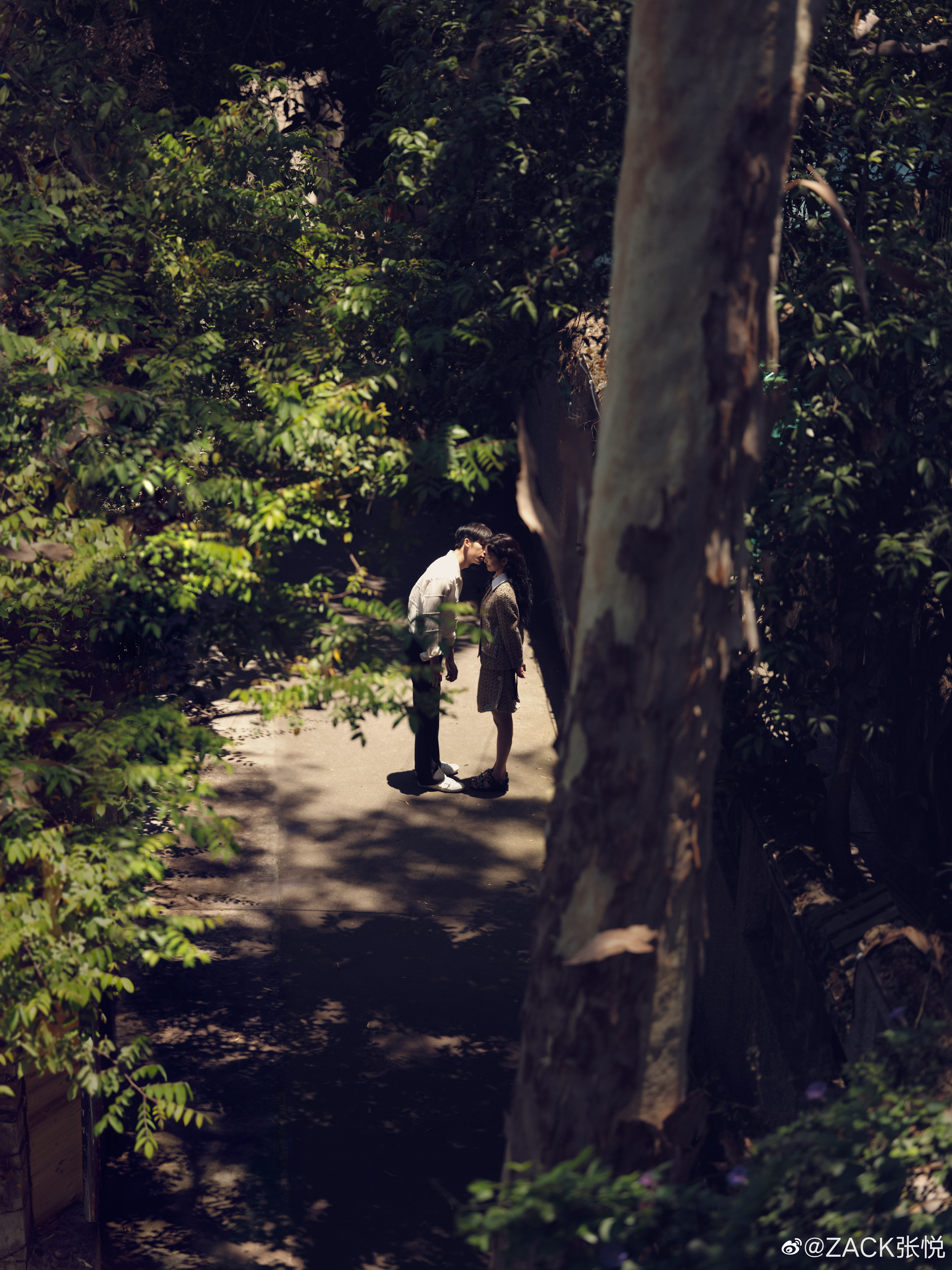 你的婚礼剧照的剧照