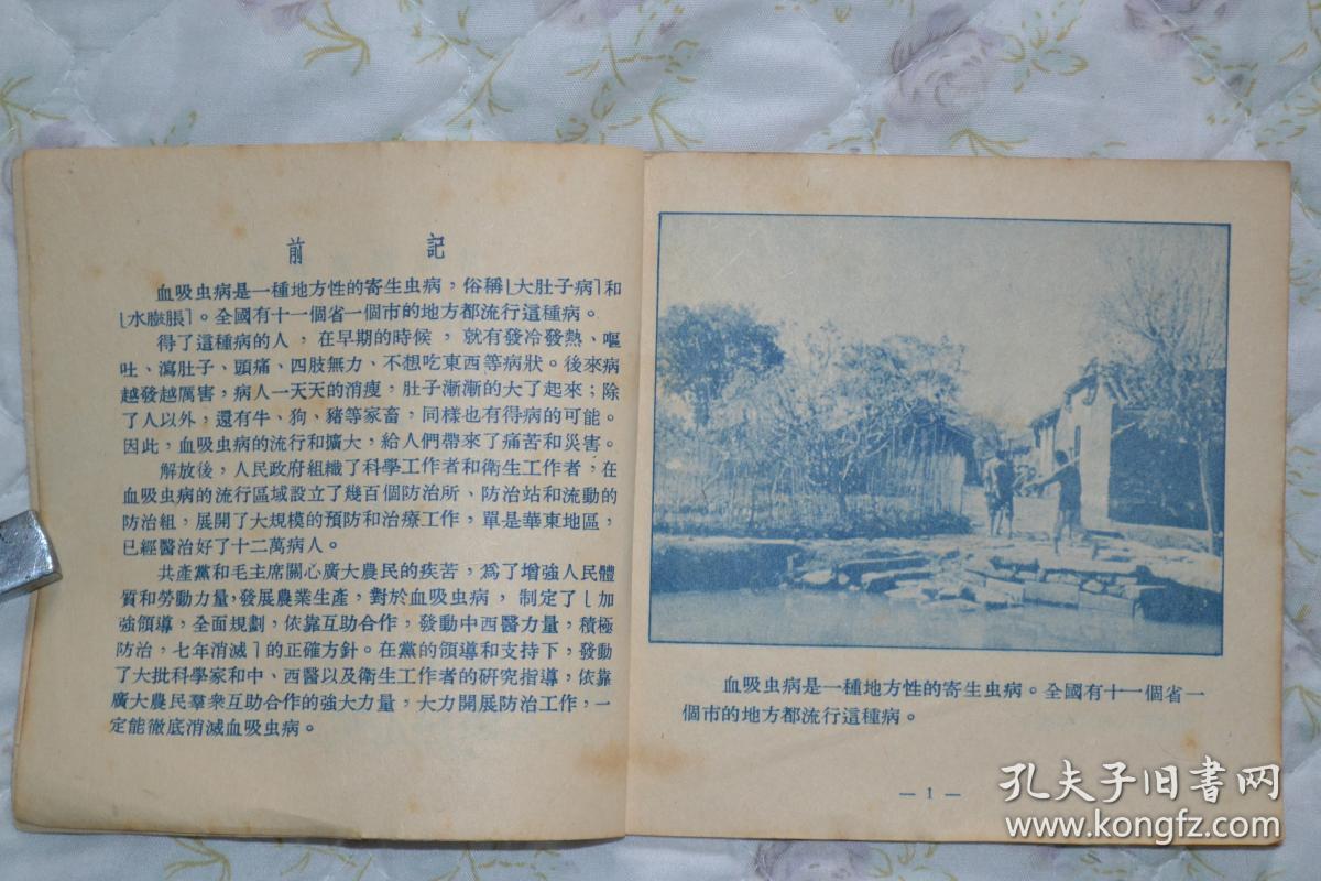 防治血吸虫病剧照的剧照