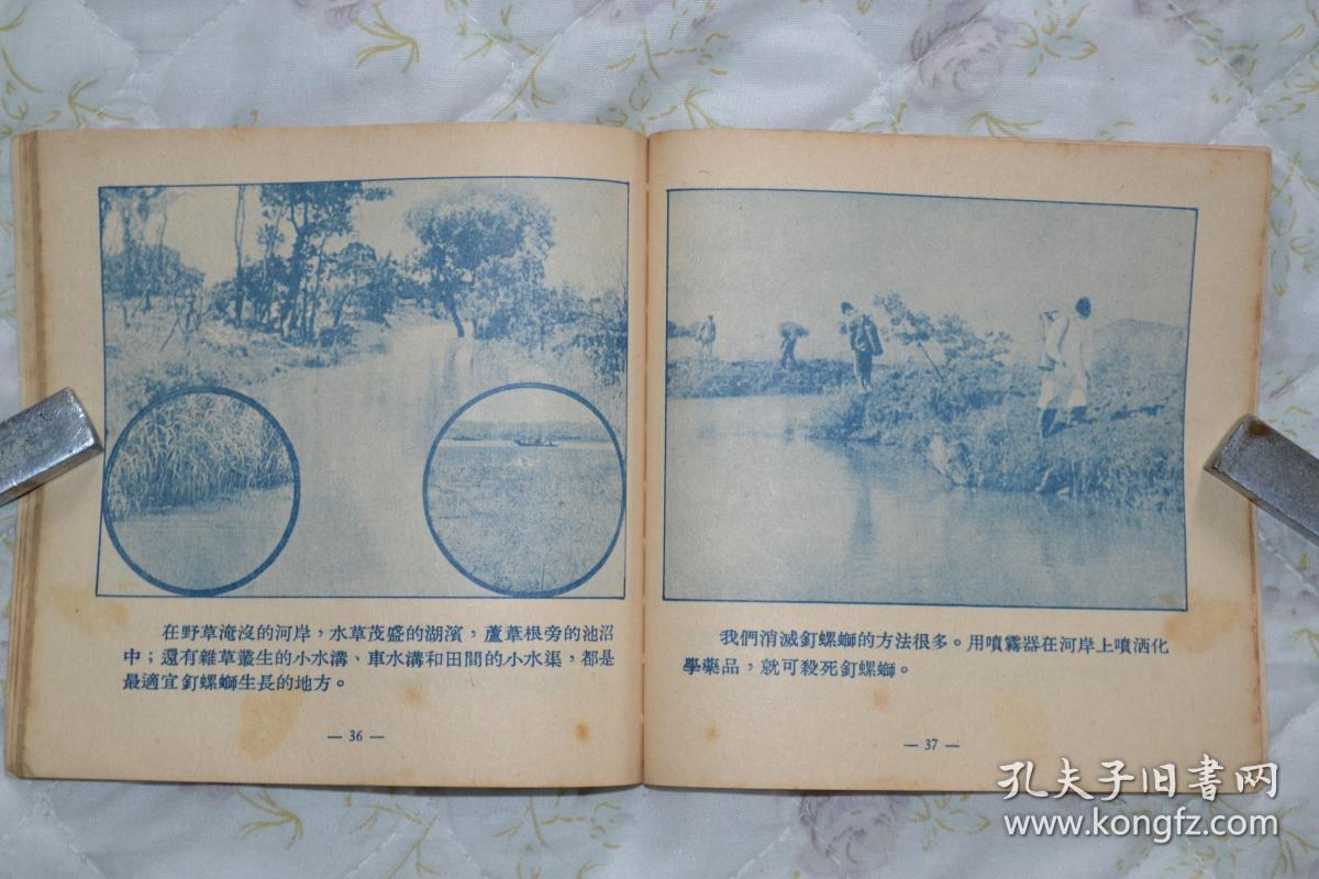 防治血吸虫病剧照的剧照