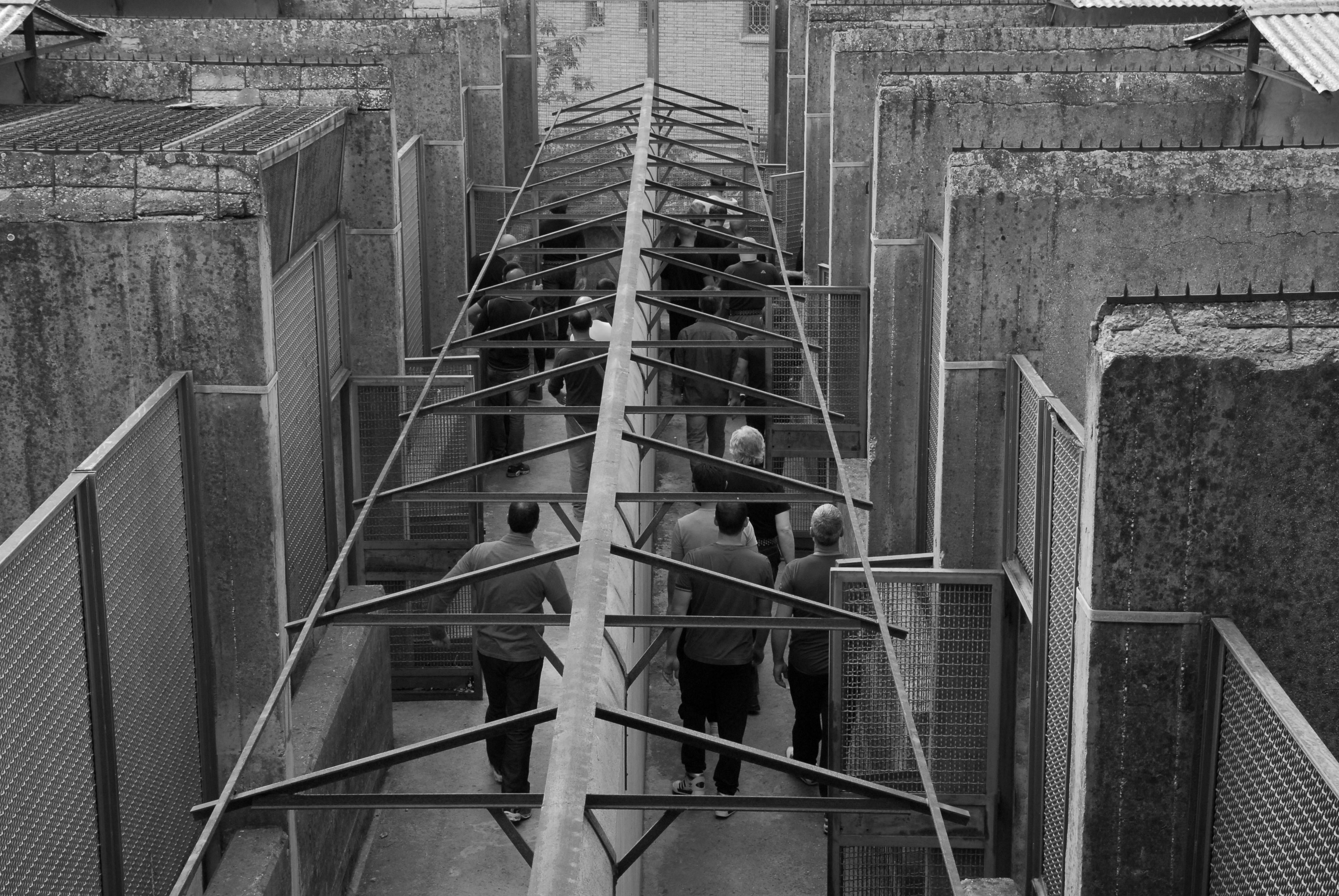 凯撒必须死剧照的剧照