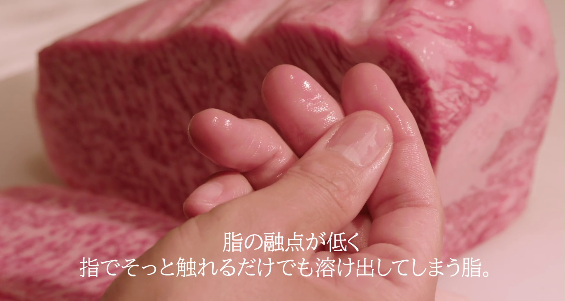 食运剧照的剧照