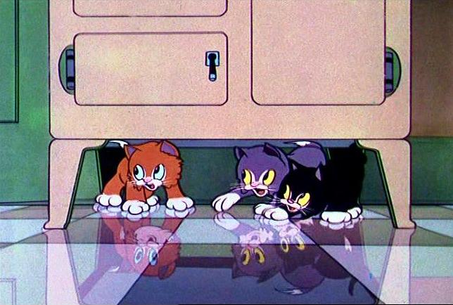 三只孤儿猫剧照的剧照