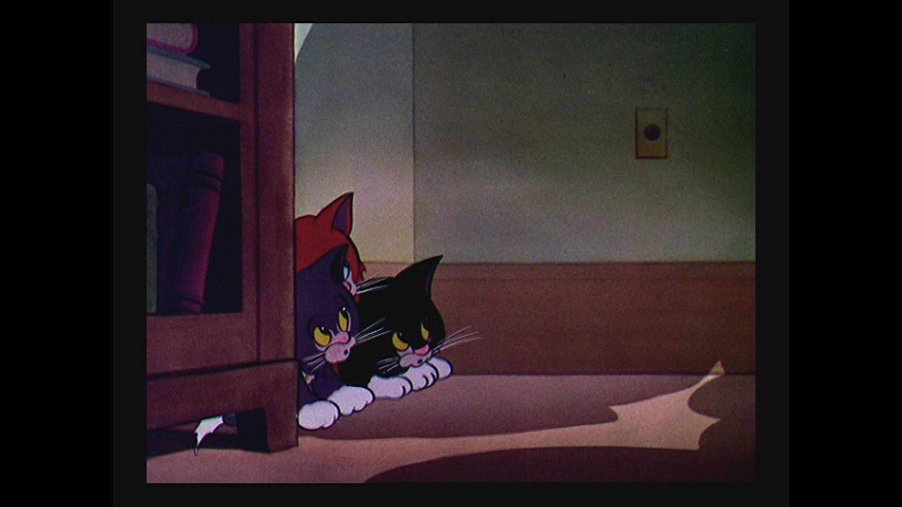 三只孤儿猫剧照的剧照