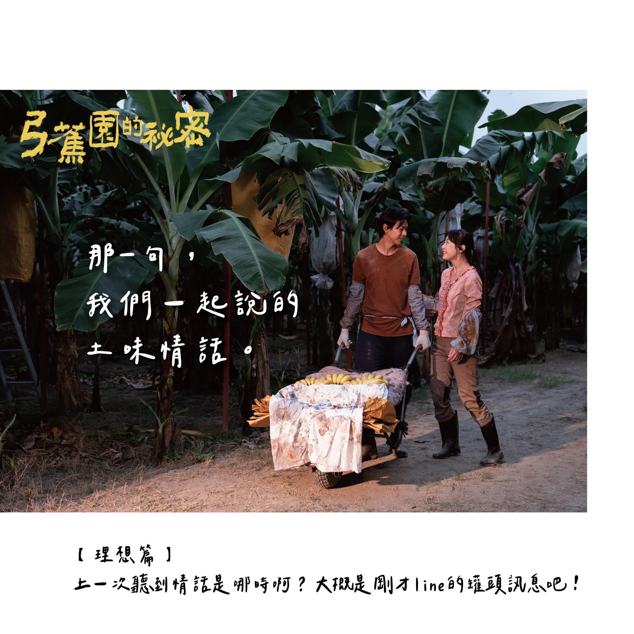 弓蕉园的秘密剧照的剧照