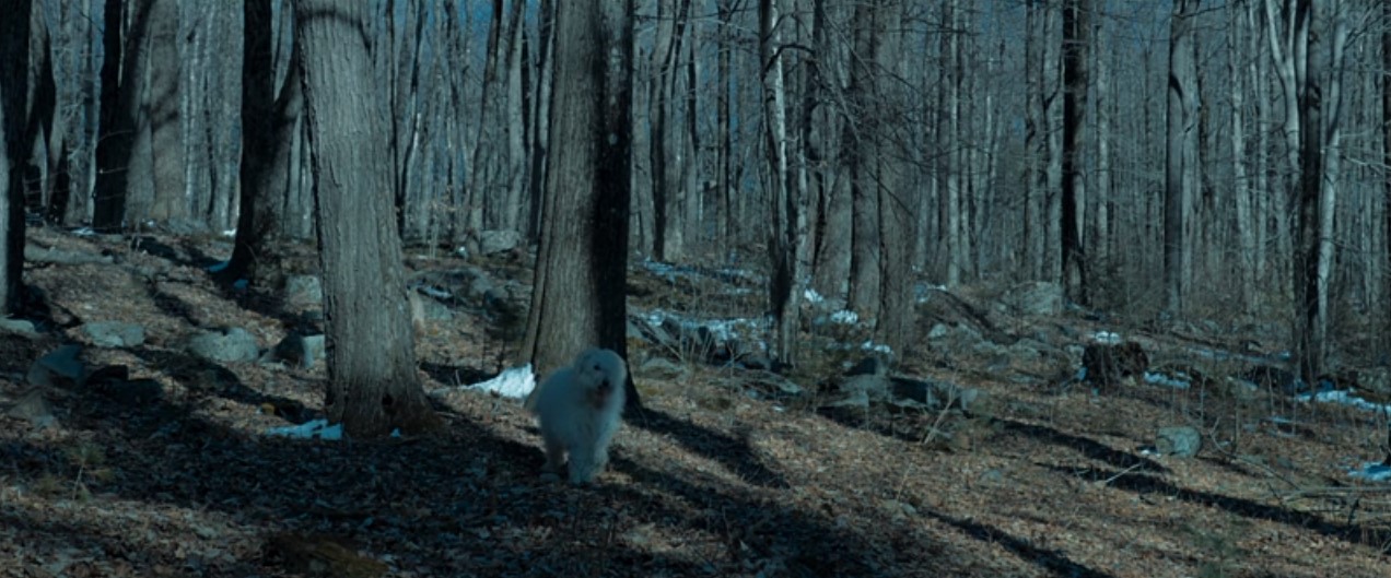 大师剧照的剧照