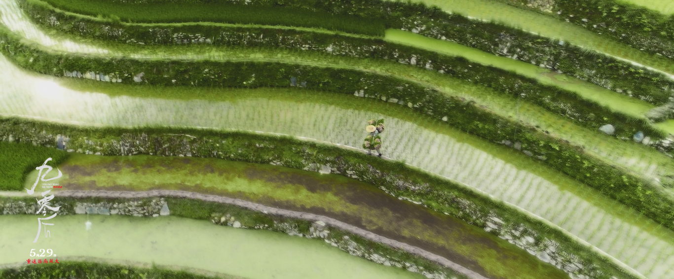 九零后剧照的剧照