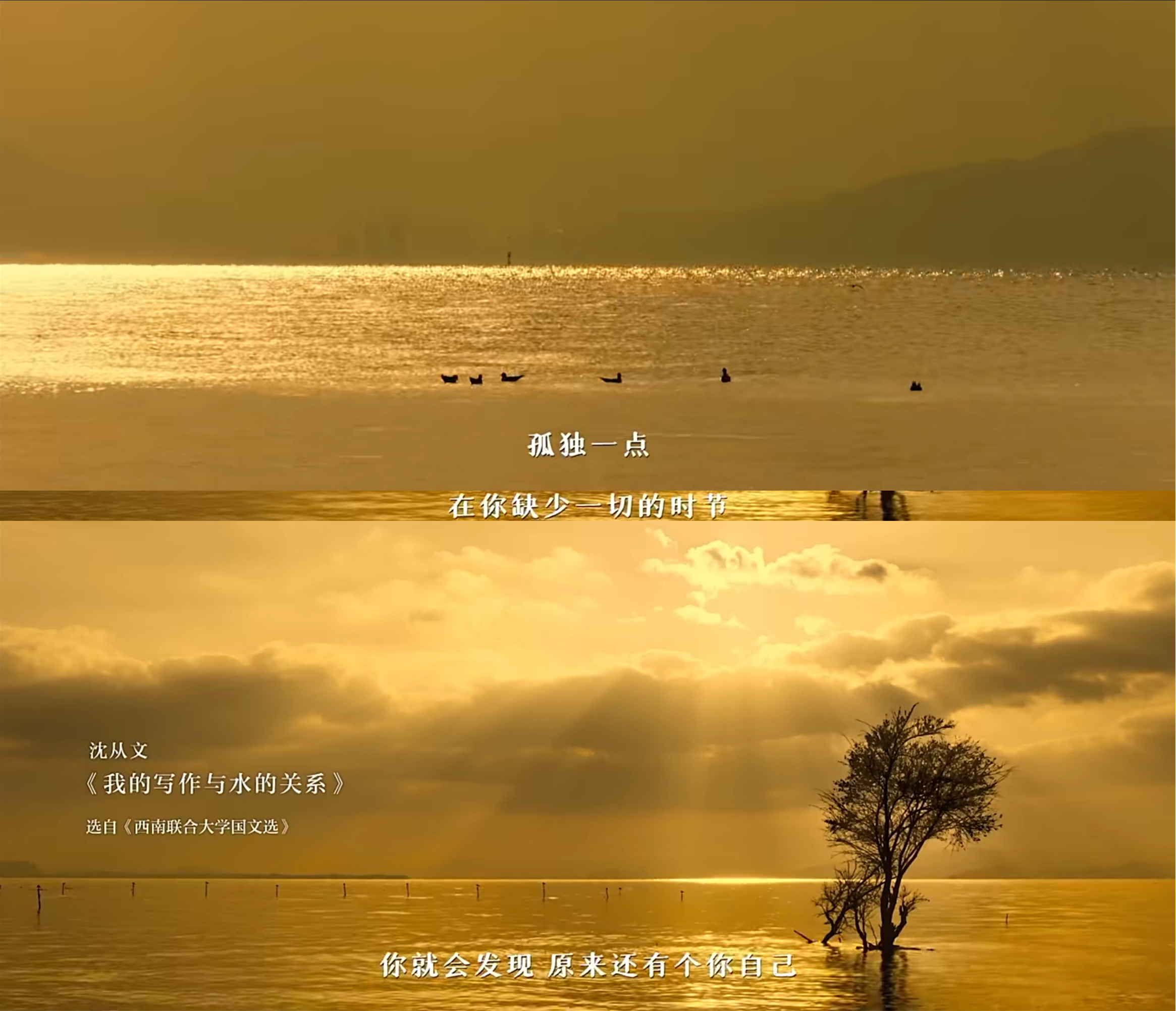 九零后剧照的剧照