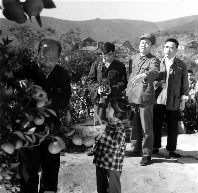 月亮湾的笑声剧照的剧照