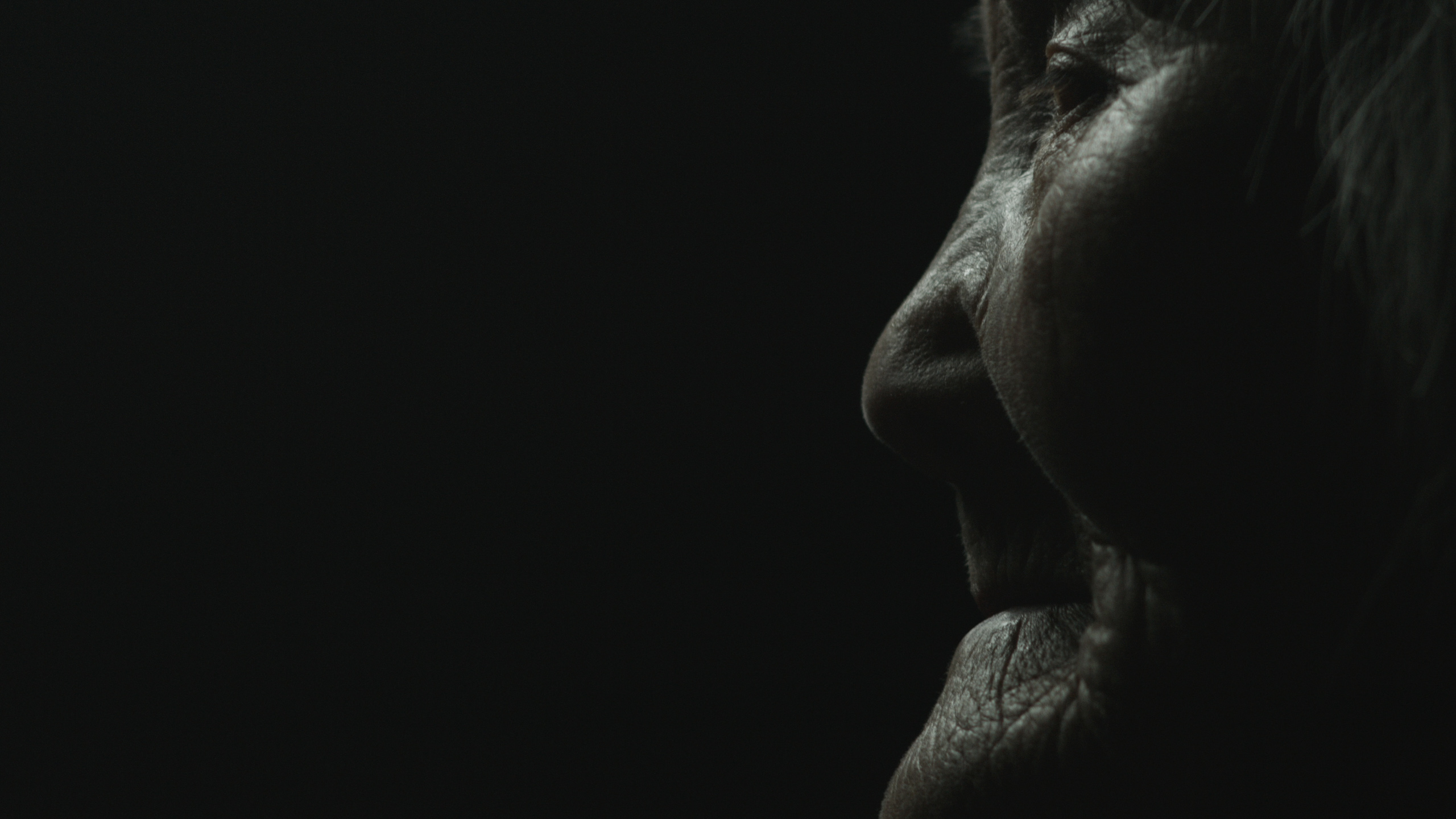 罗长姐剧照的剧照