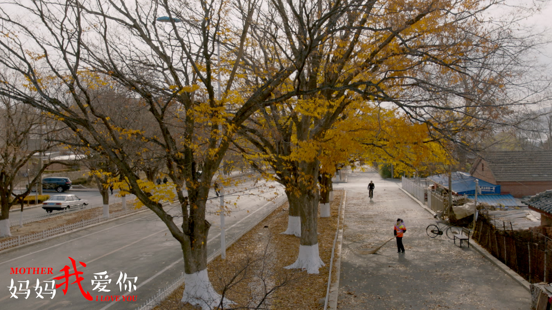 妈妈我爱你剧照的剧照