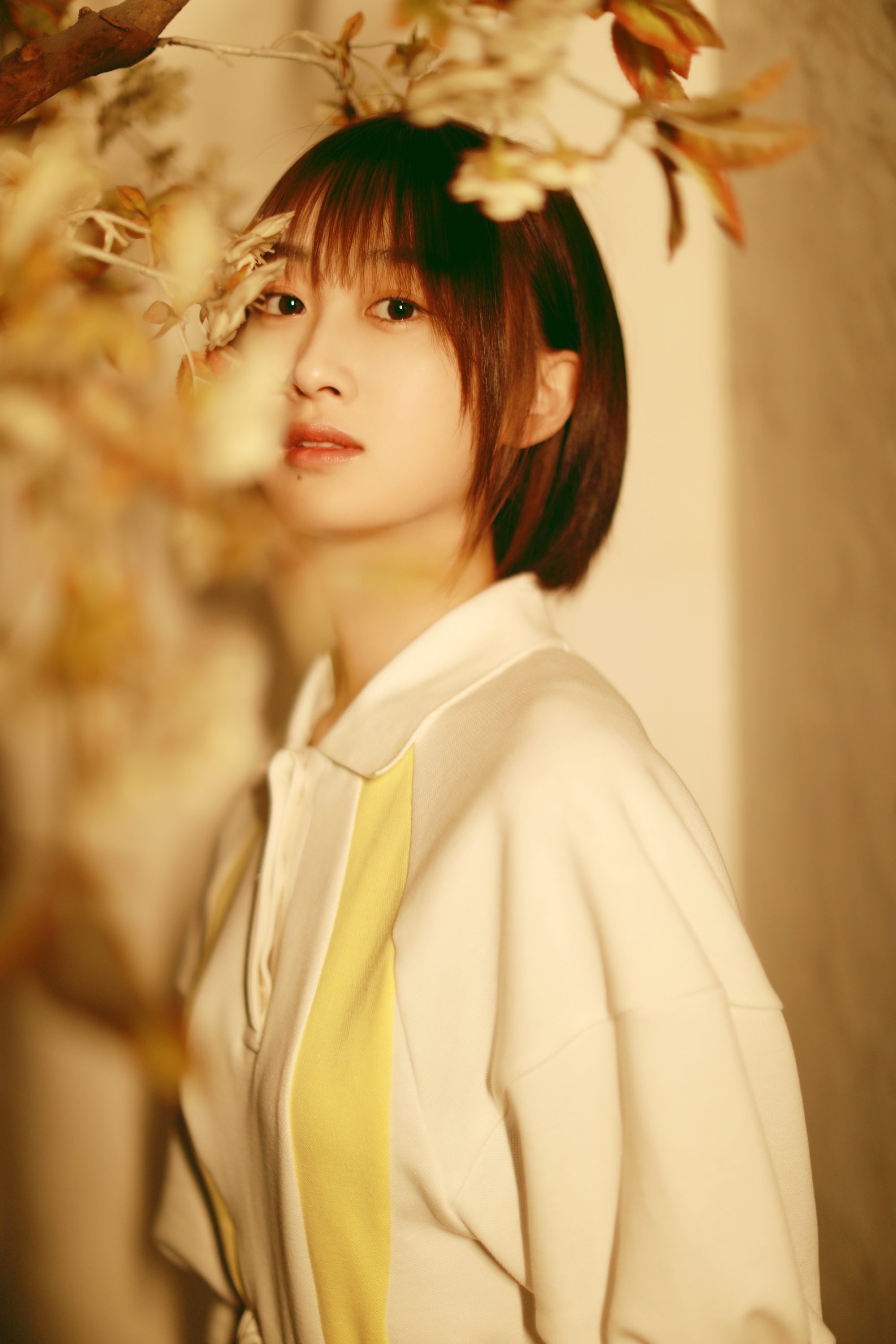 瑞喜爱小白剧照的剧照