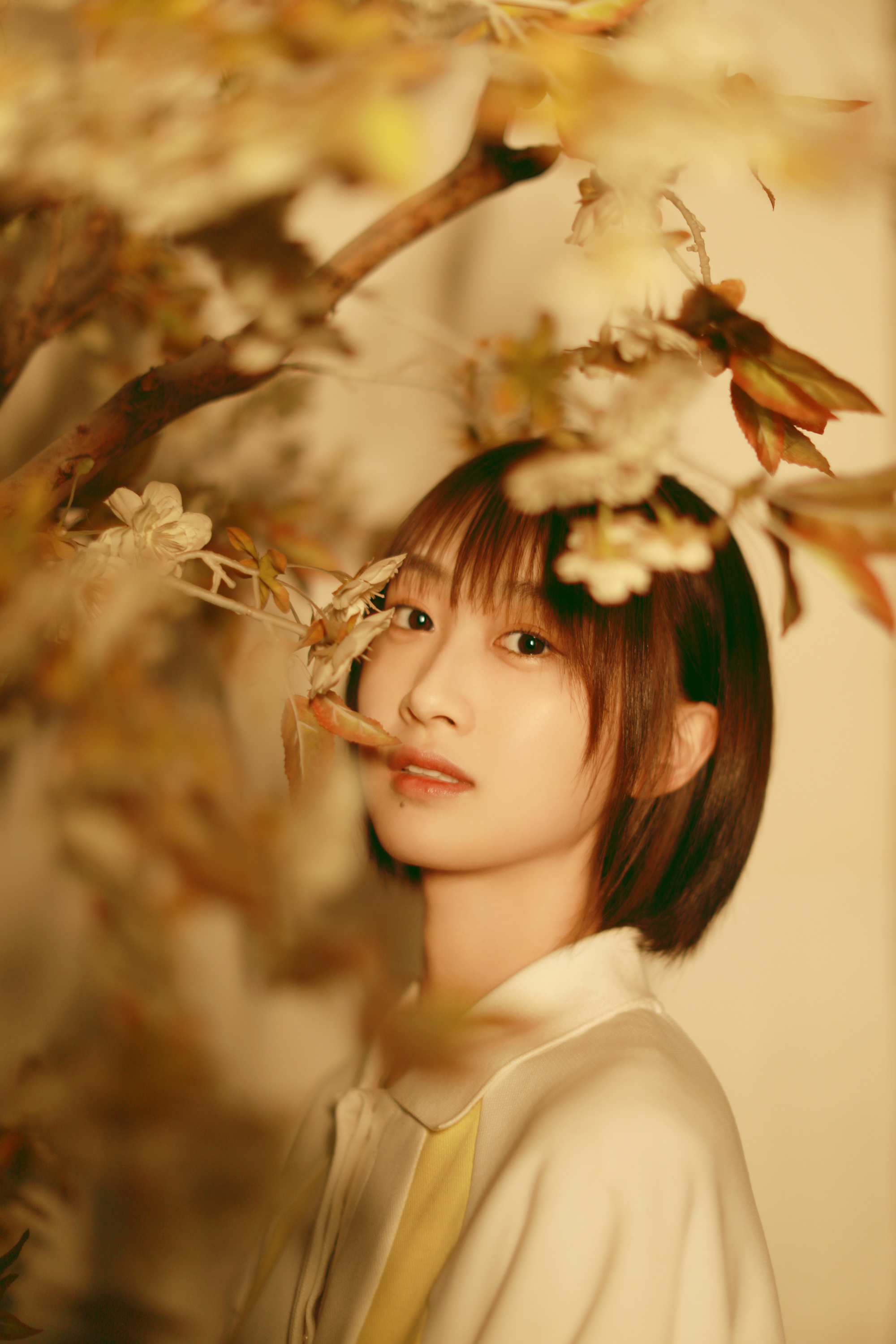 瑞喜爱小白剧照的剧照