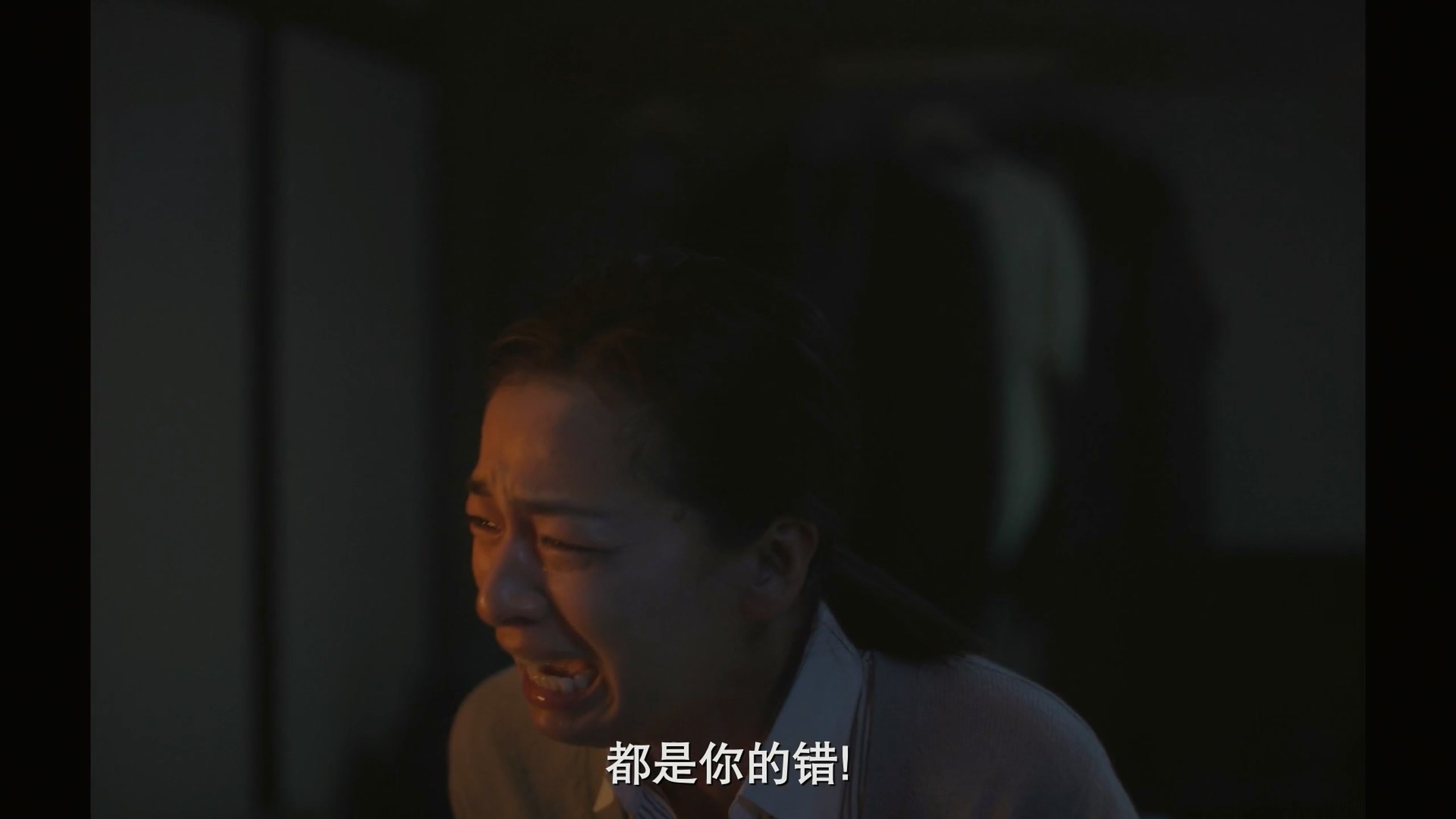 黑道与家族剧照的剧照