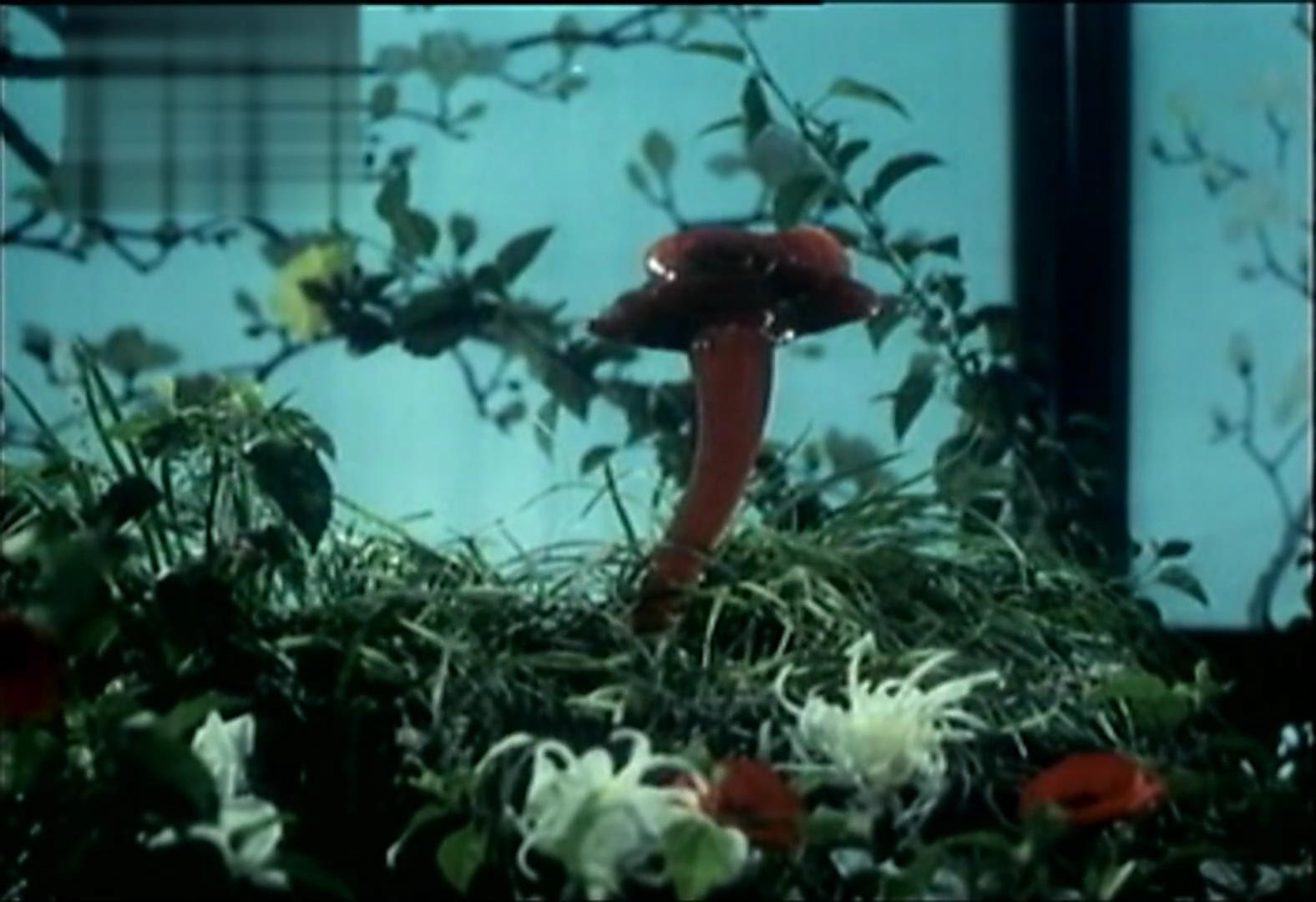 红楼梦 Ⅵ 宝玉化石剧照的剧照