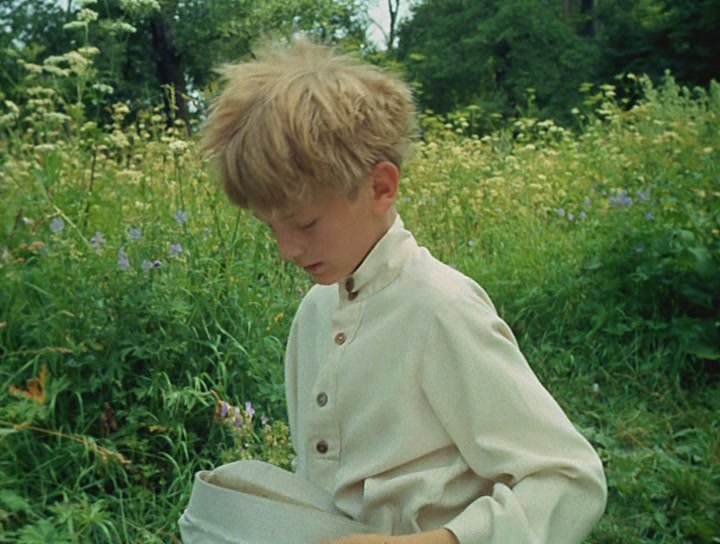 未完成的机械钢琴曲剧照的剧照