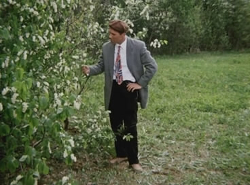 红莓剧照的剧照