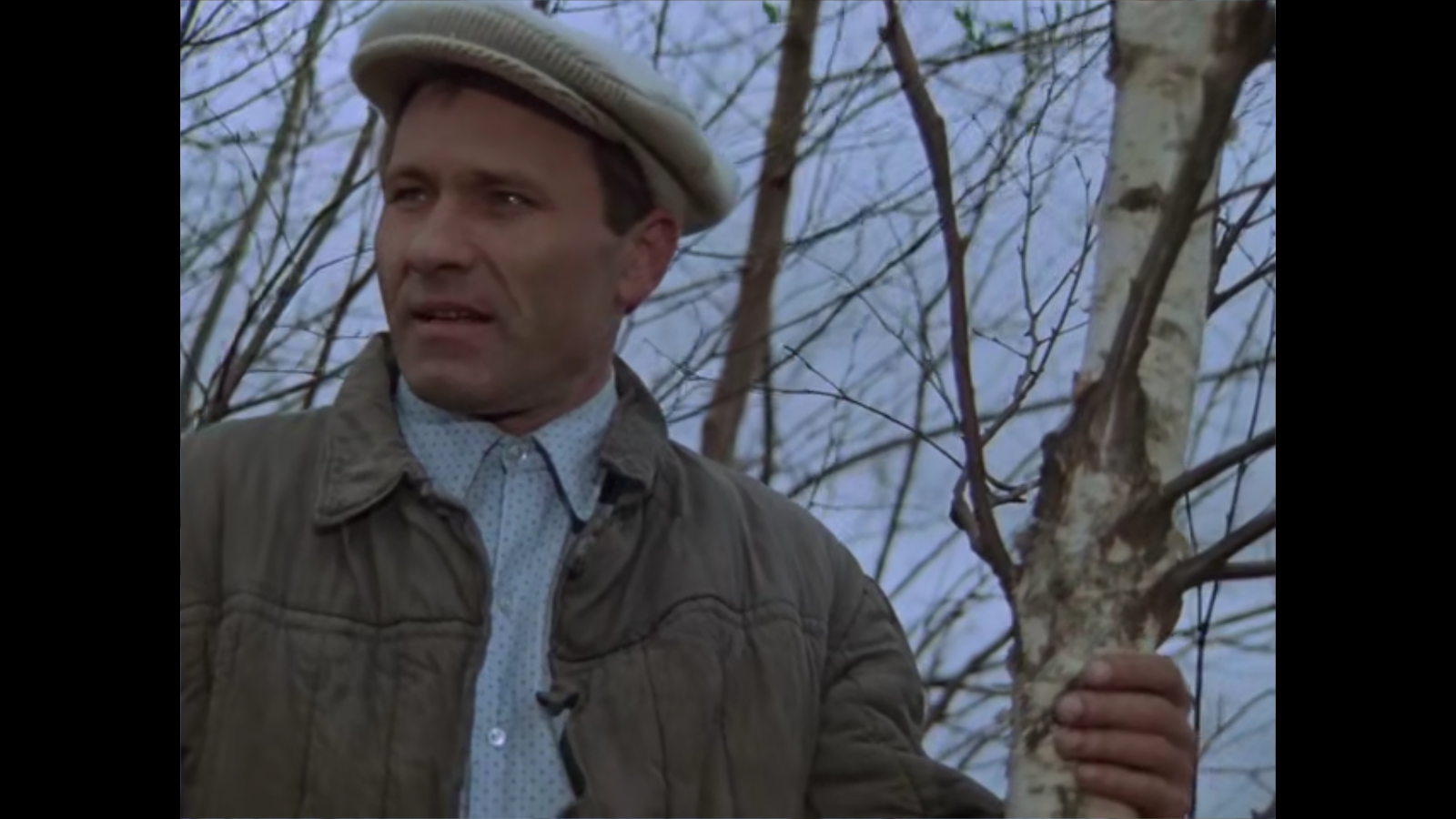 红莓剧照的剧照