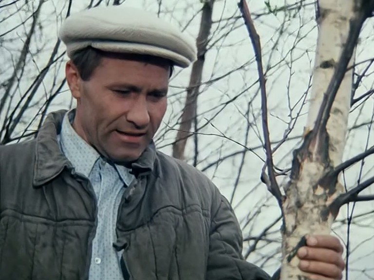 红莓剧照的剧照