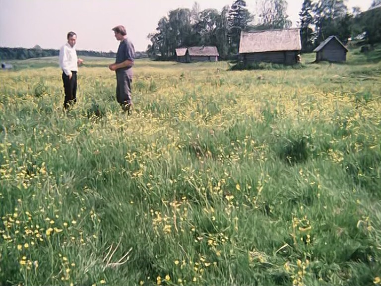 红莓剧照的剧照