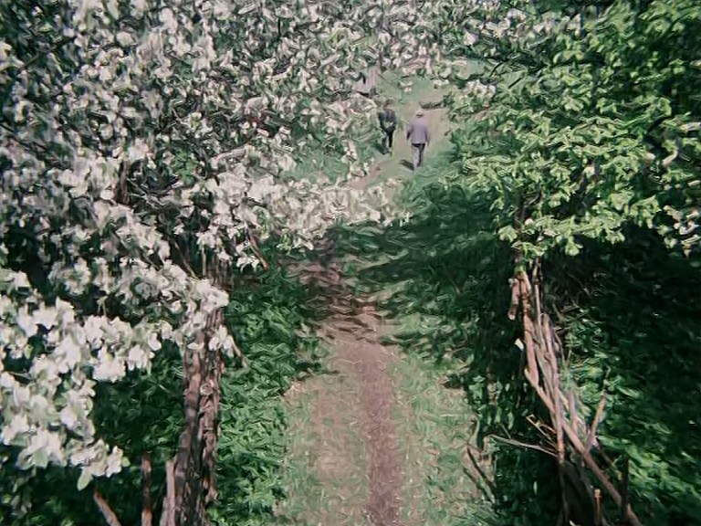 红莓剧照的剧照