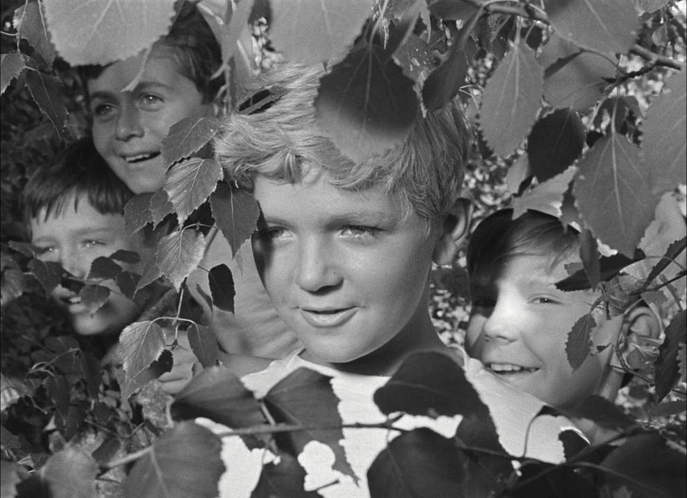 欢迎光临，或闲人免入剧照的剧照