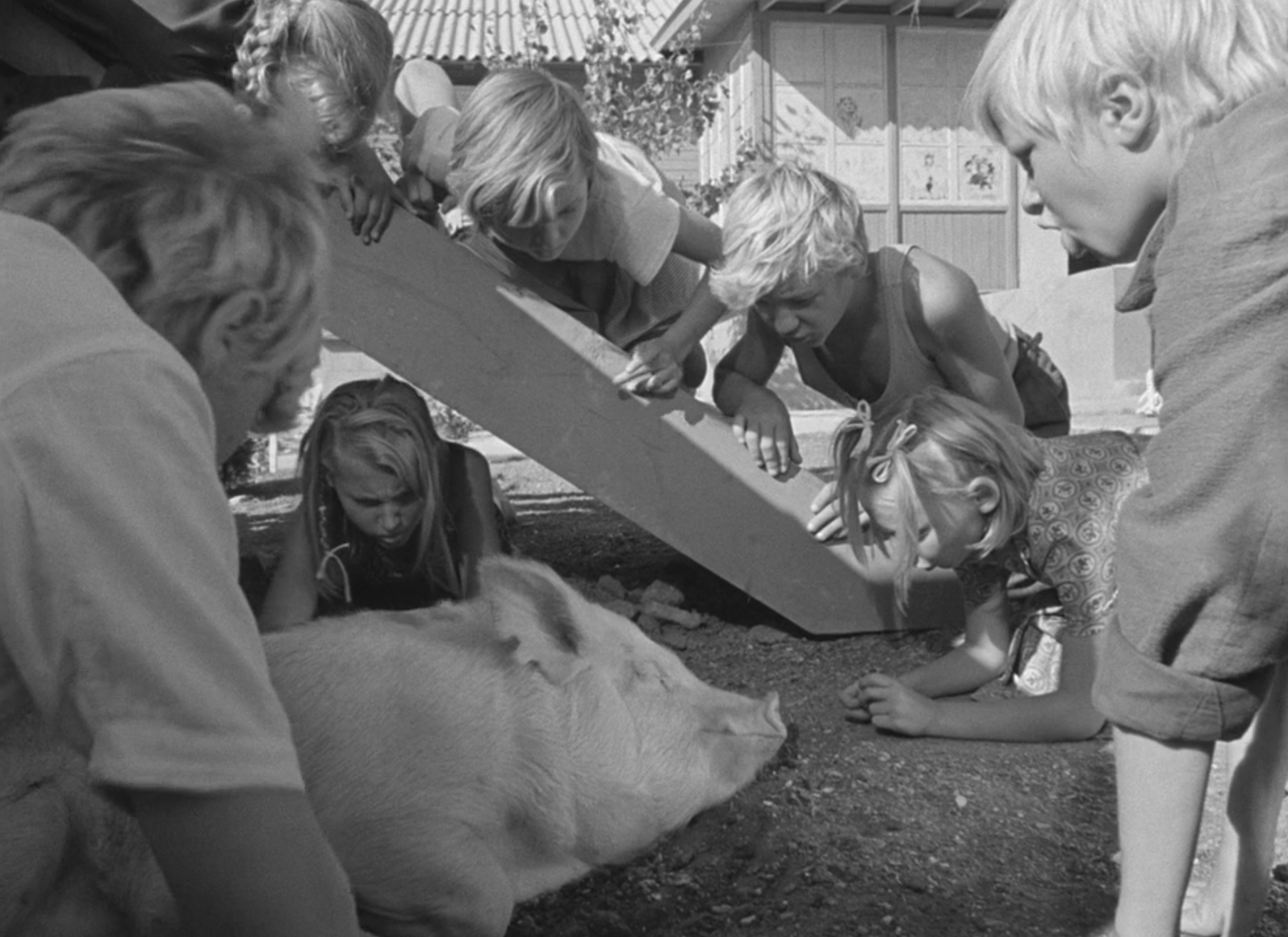 欢迎光临，或闲人免入剧照的剧照