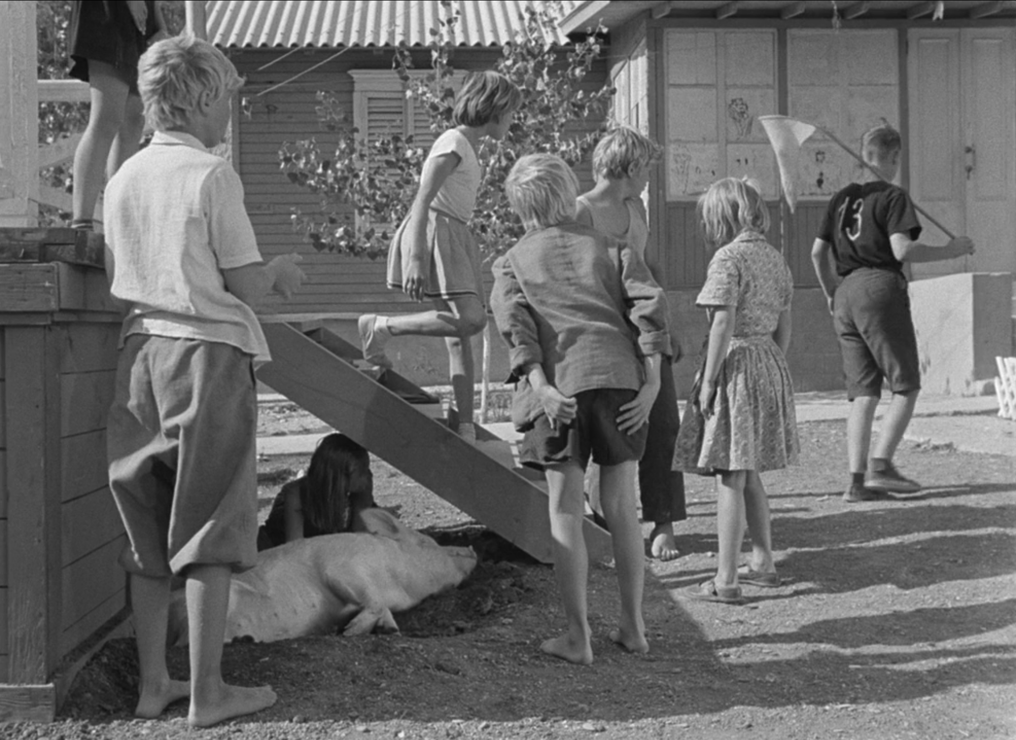 欢迎光临，或闲人免入剧照的剧照