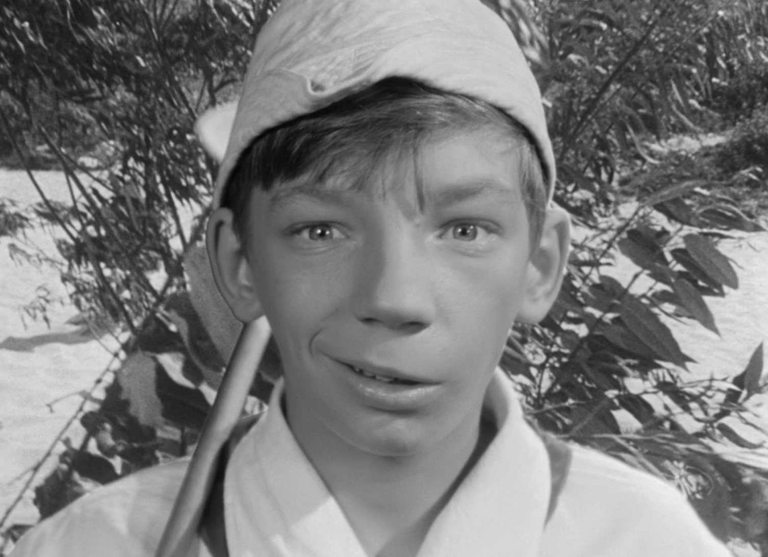 欢迎光临，或闲人免入剧照的剧照