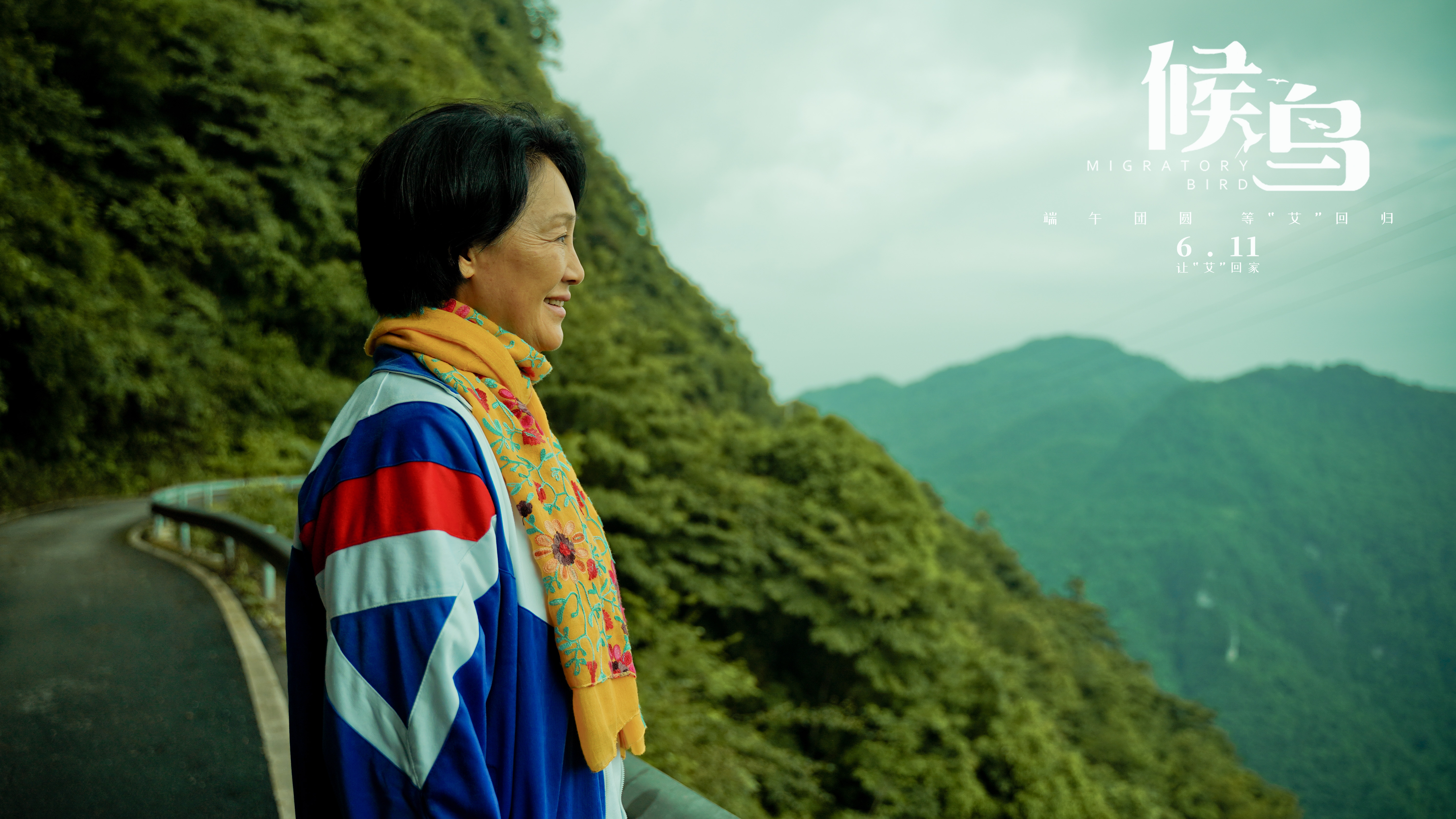 候鸟剧照的剧照