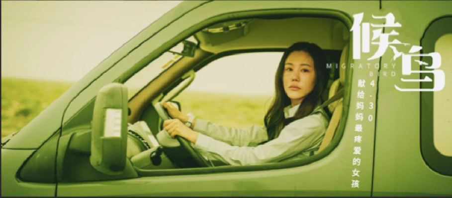 候鸟剧照的剧照