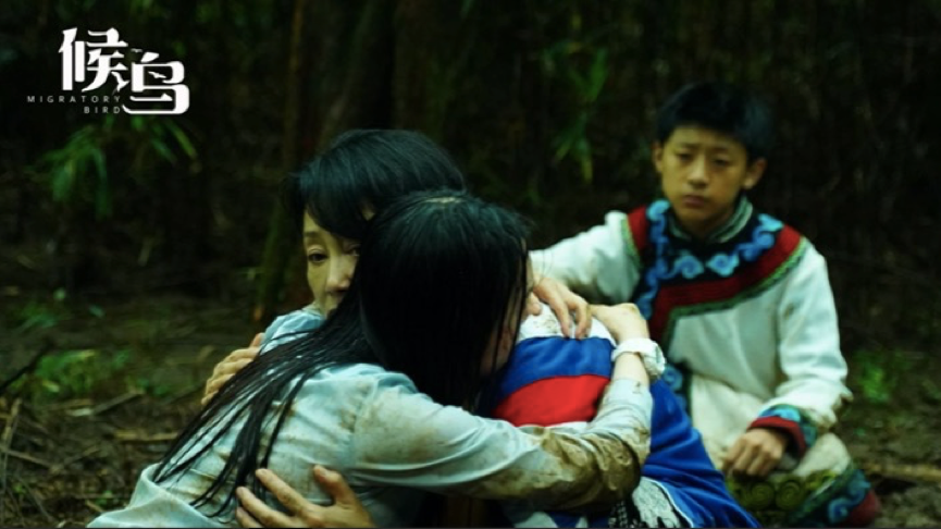 候鸟剧照的剧照