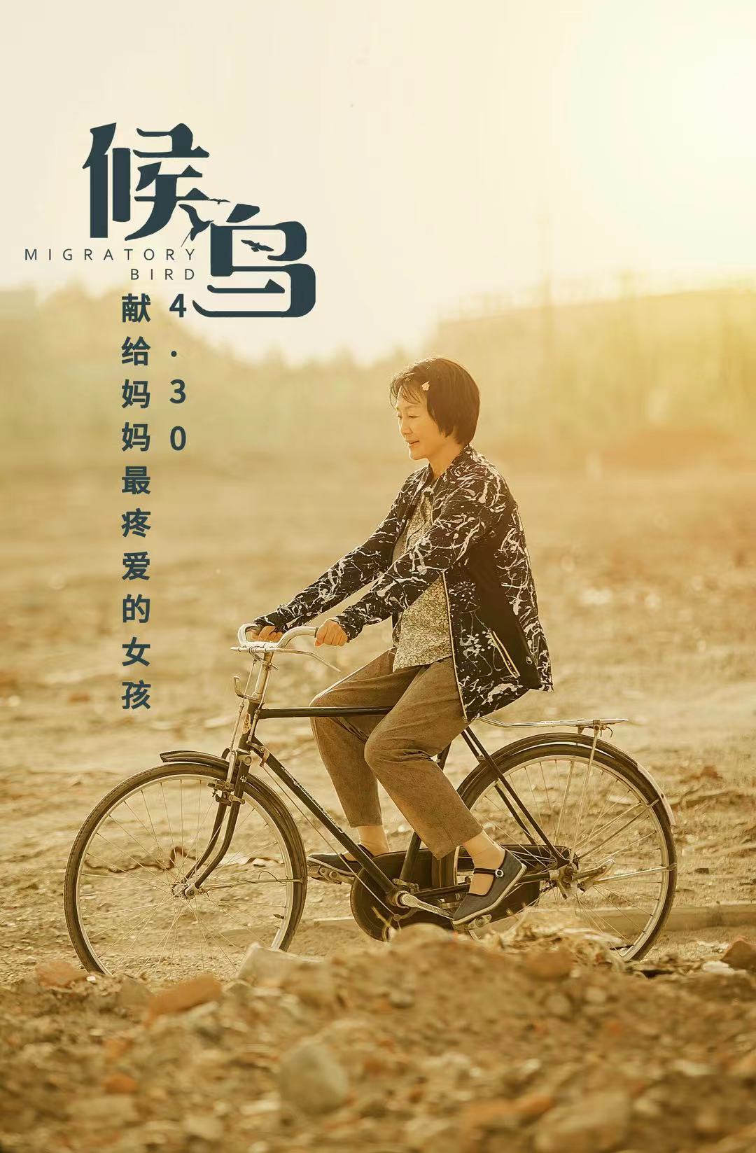 候鸟剧照的剧照