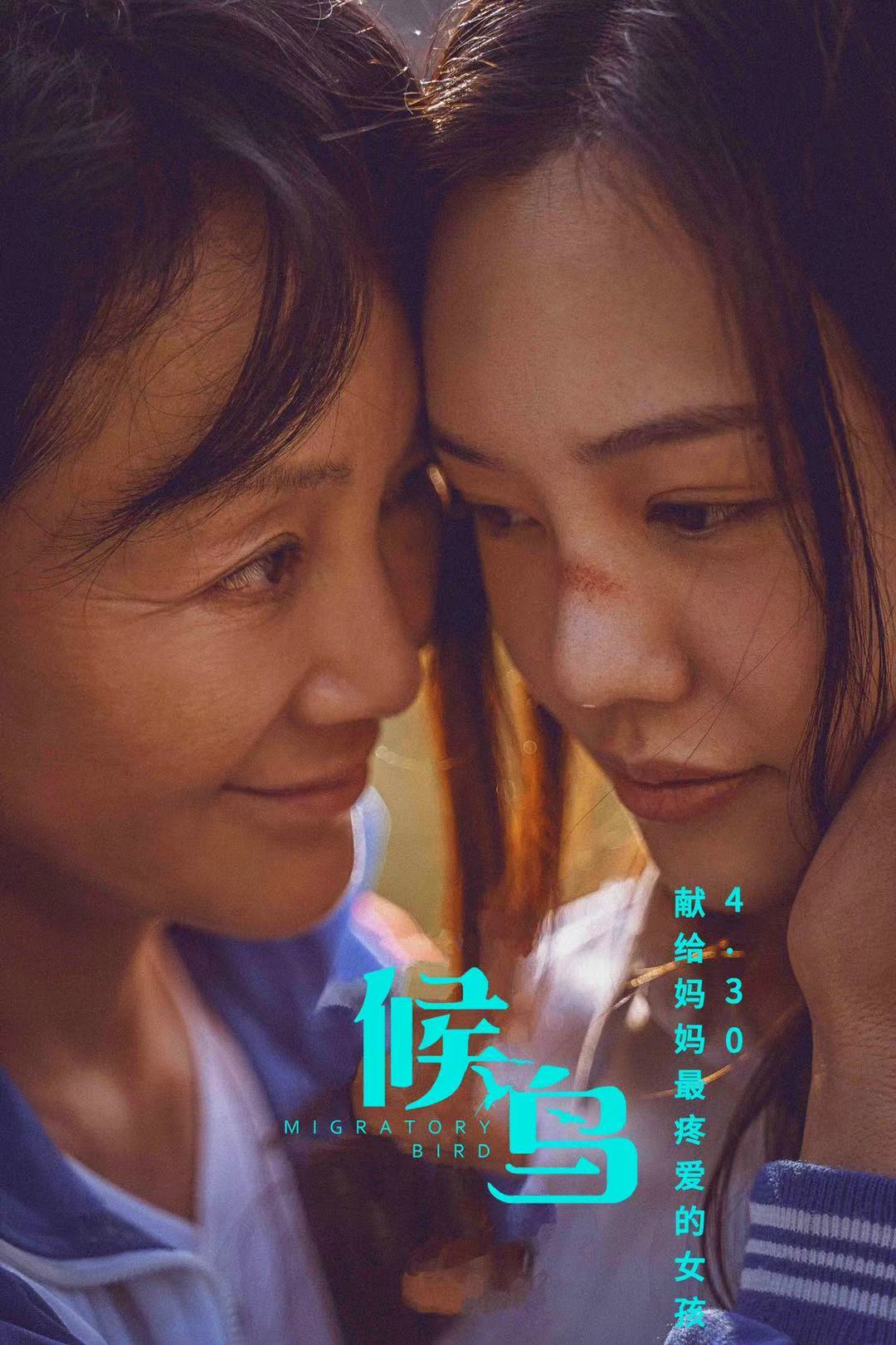 候鸟剧照的剧照