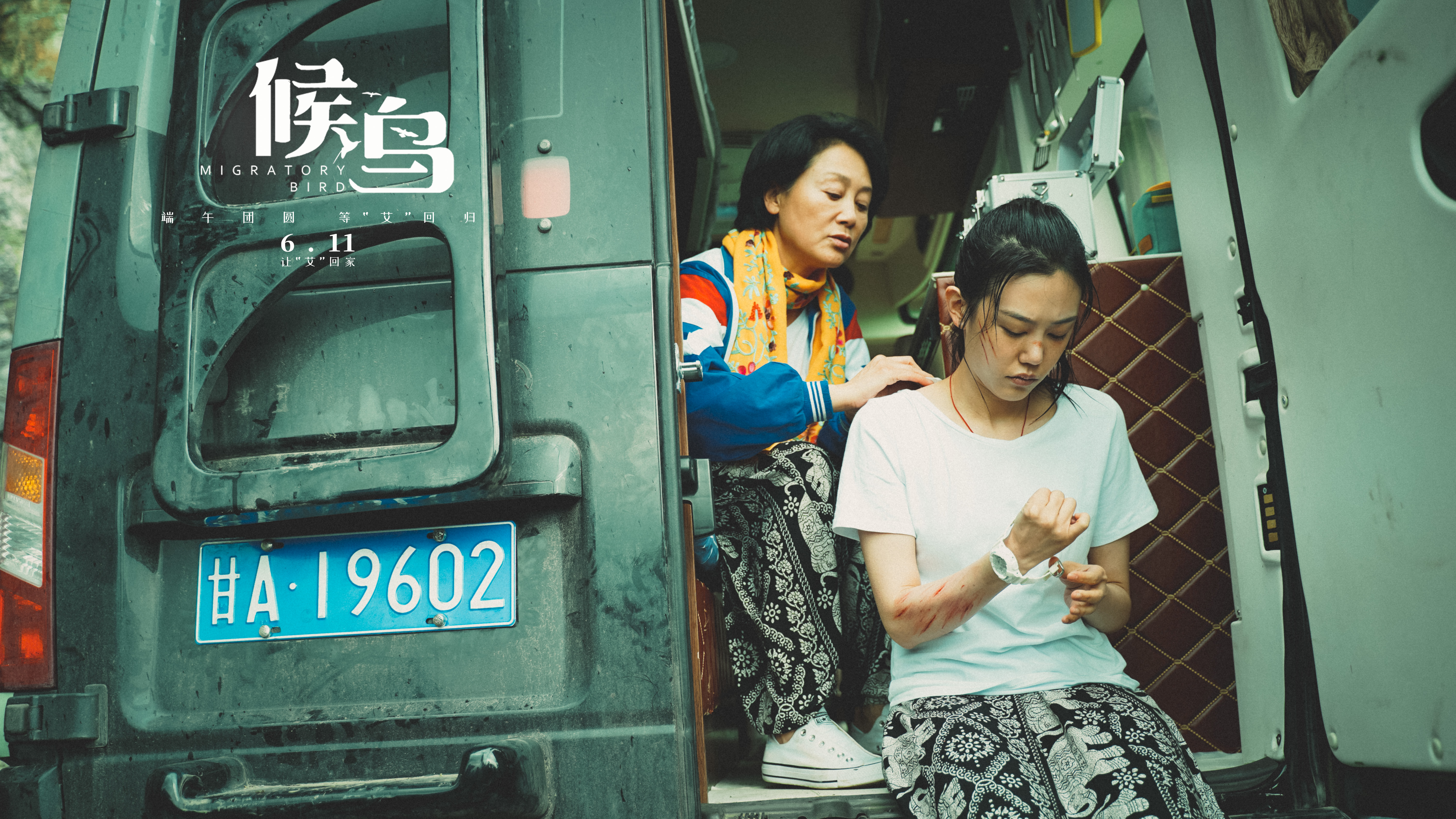 候鸟剧照的剧照