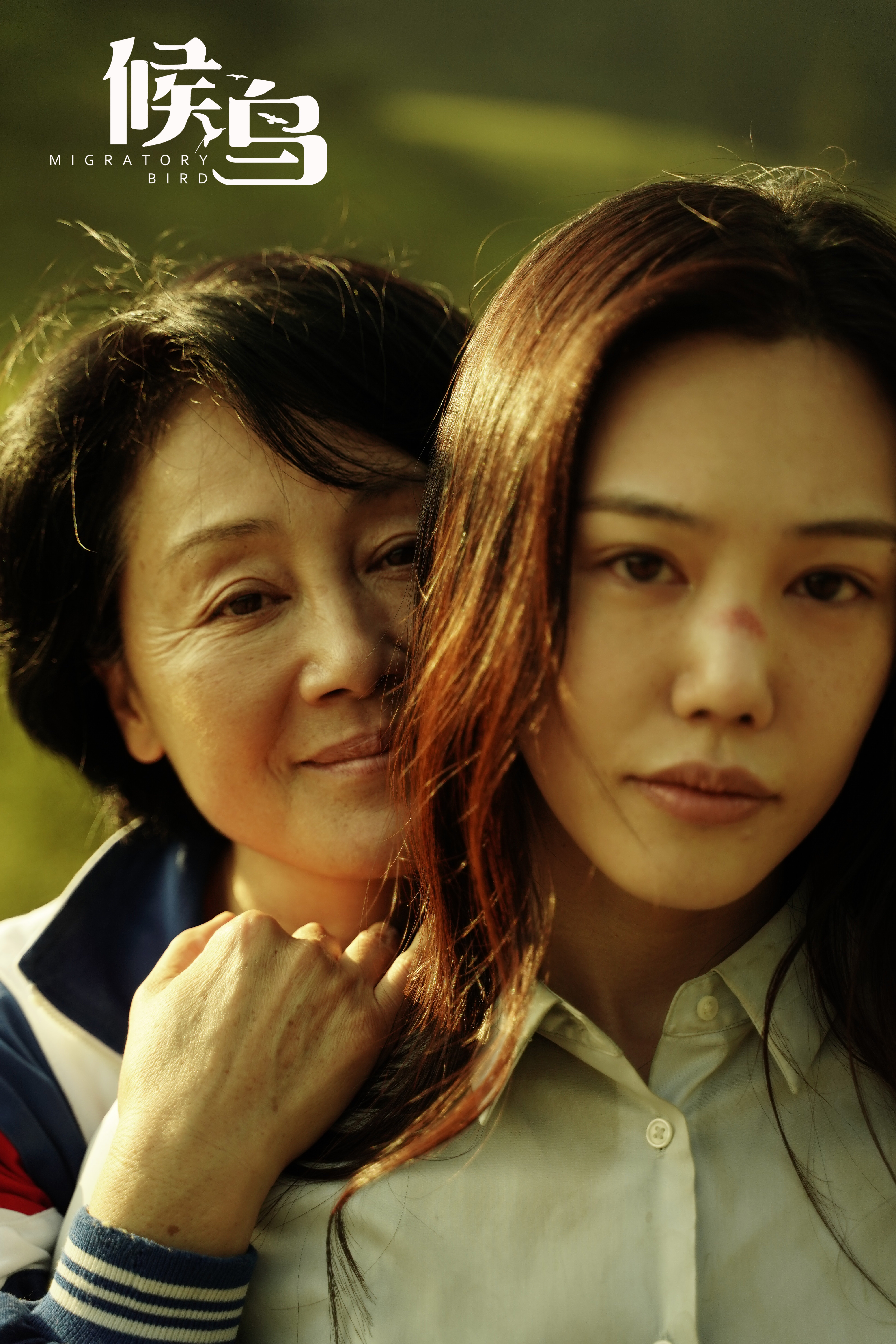 候鸟剧照的剧照