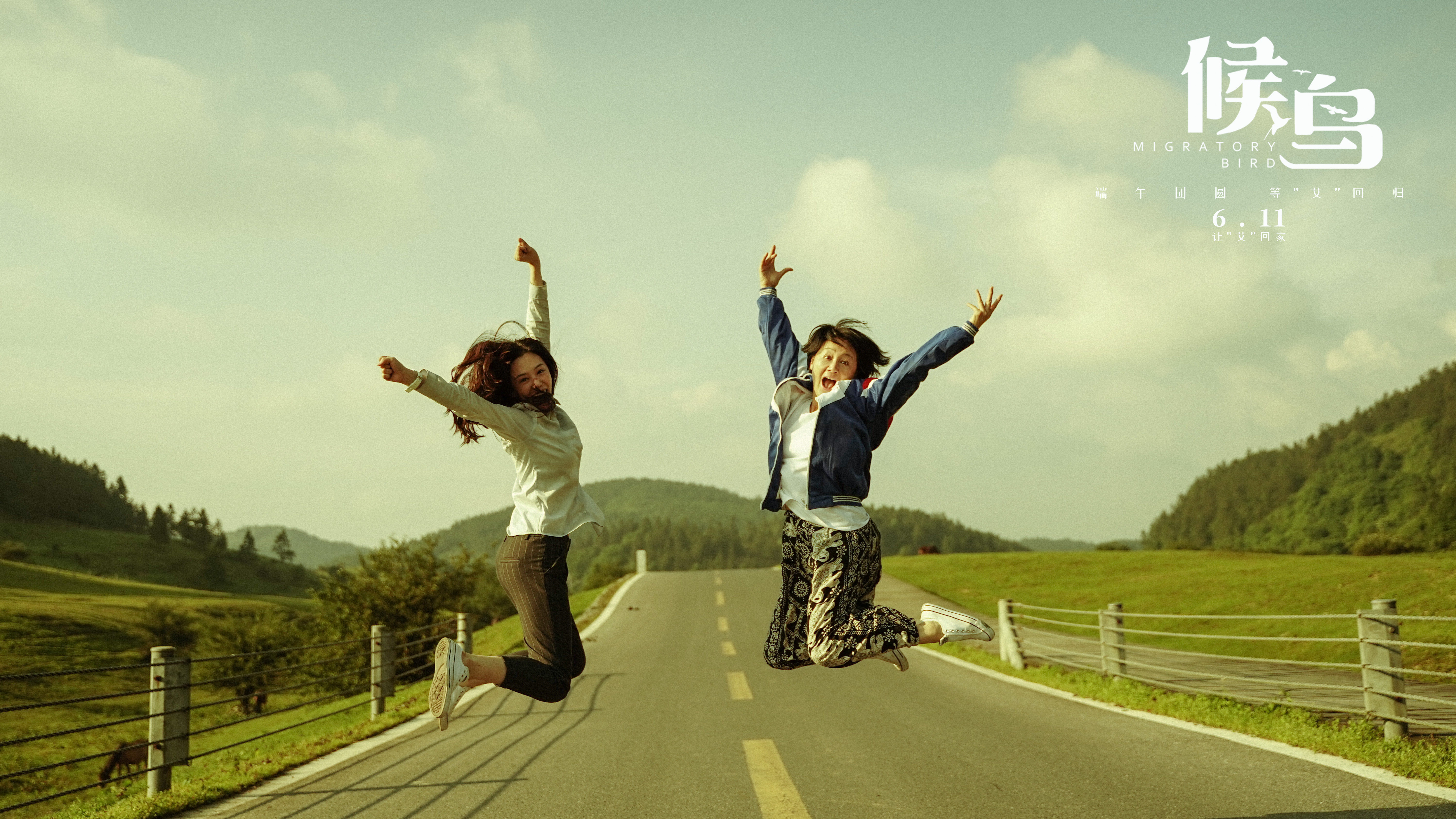 候鸟剧照的剧照